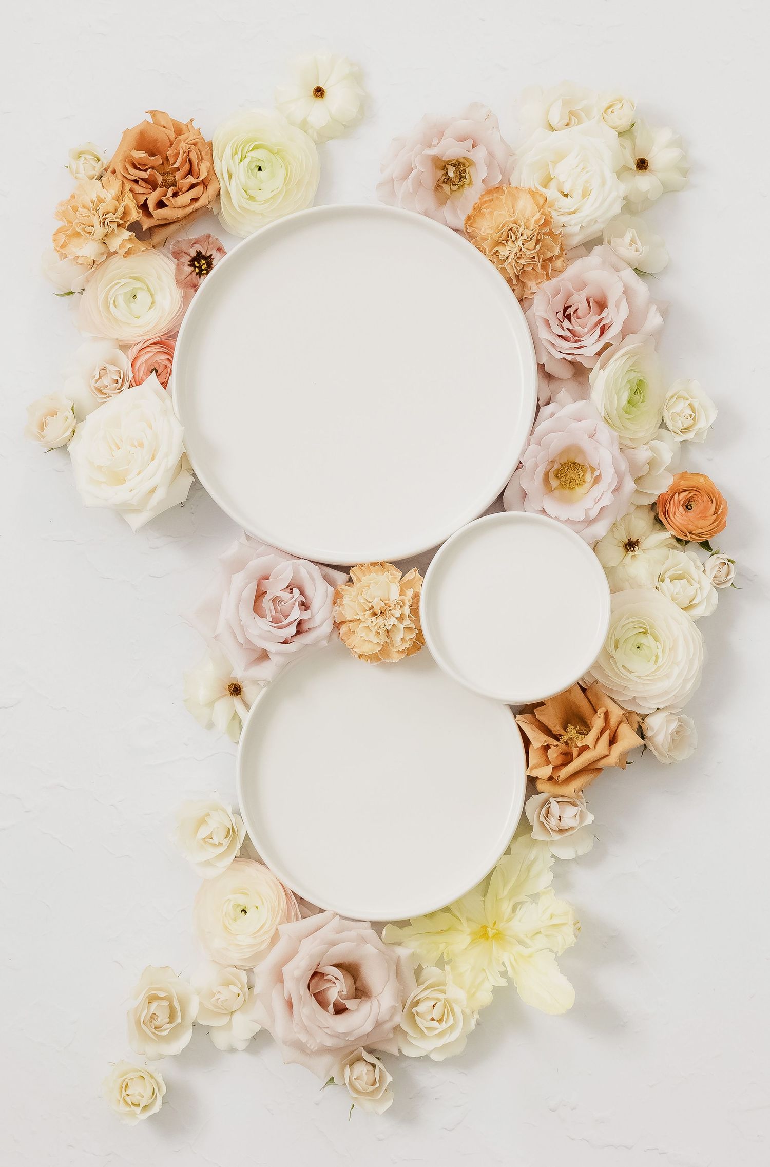 Overhead view of white plates surrounded by delicate peach and cream colored roses.
