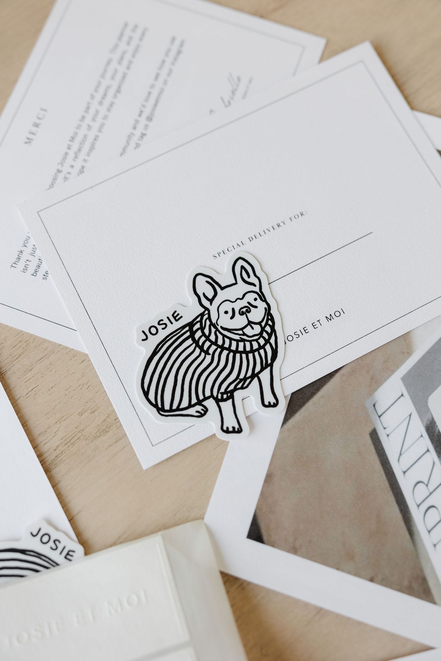 Business cards featuring whimsical cat illustrations in black and white design.