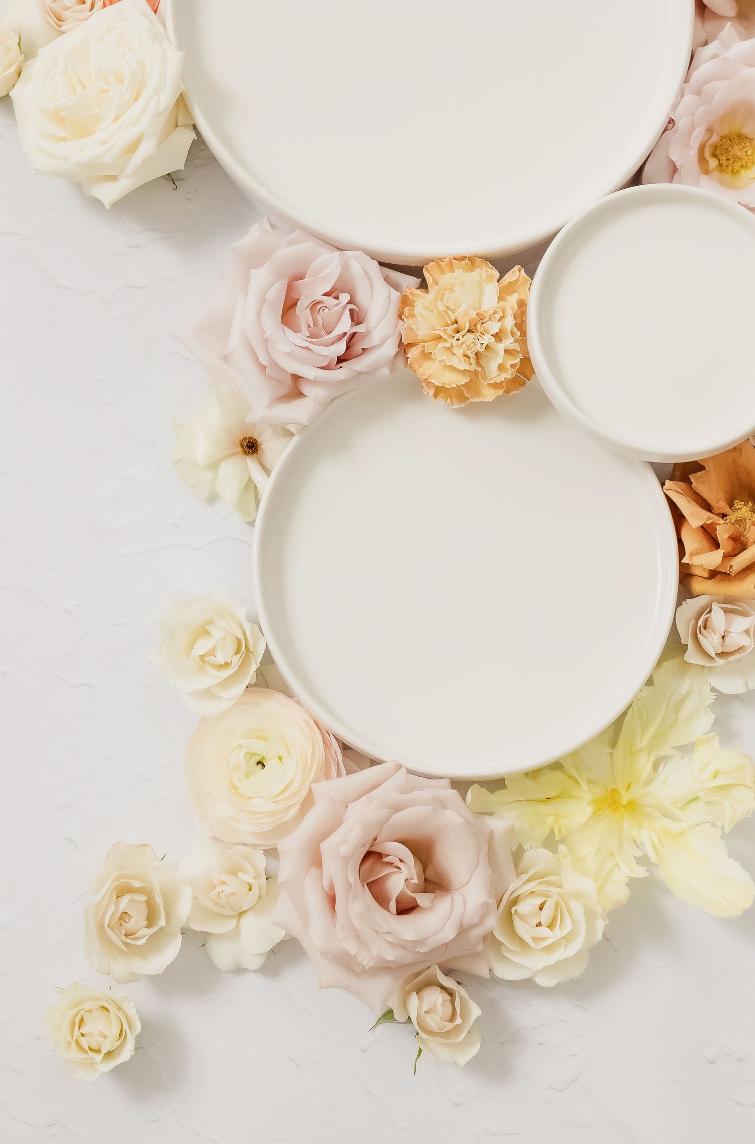 White plates arranged among soft pink and cream roses on light background.