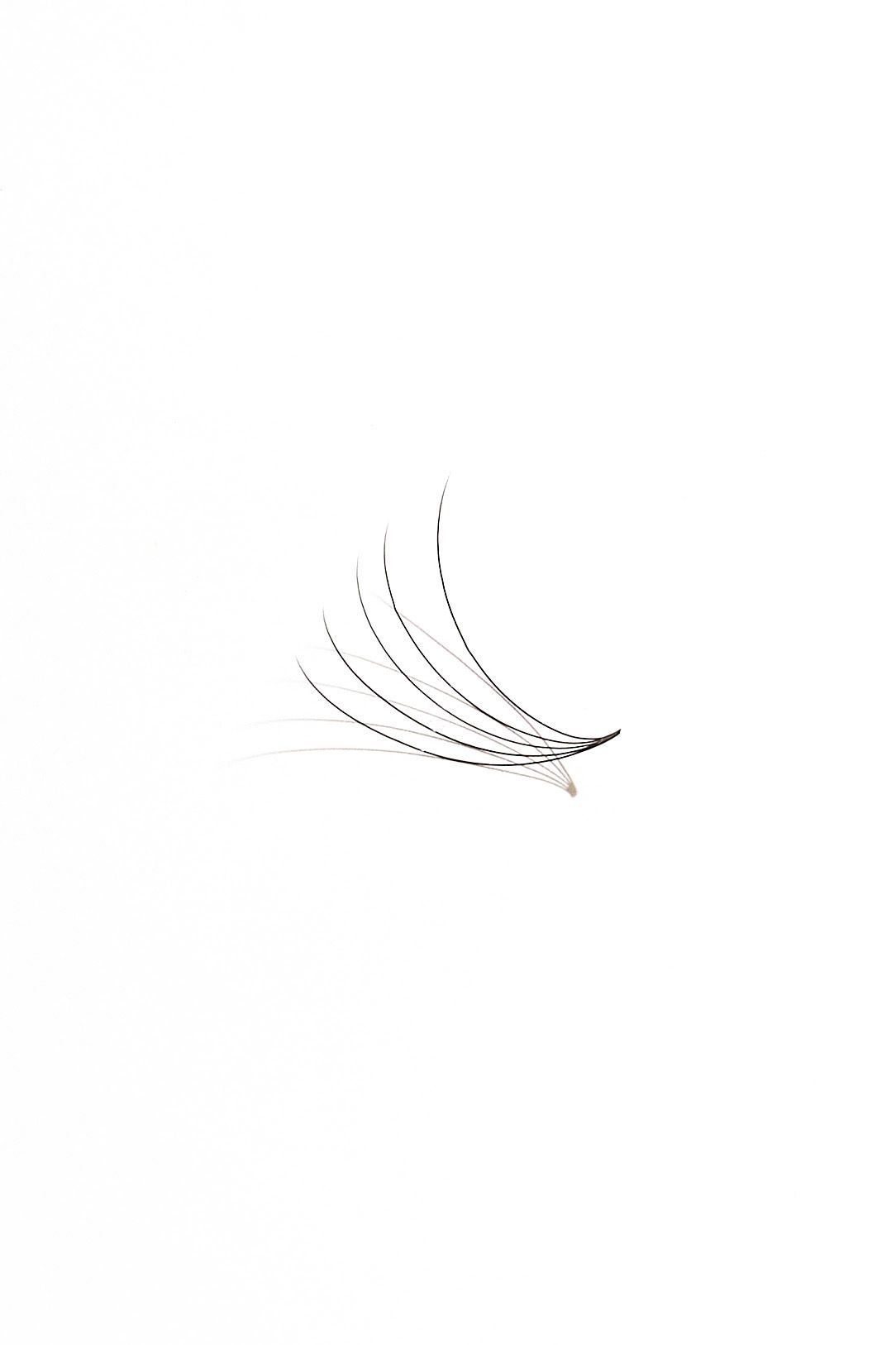 Close-up of individual false eyelash cluster showing delicate curved fibers.