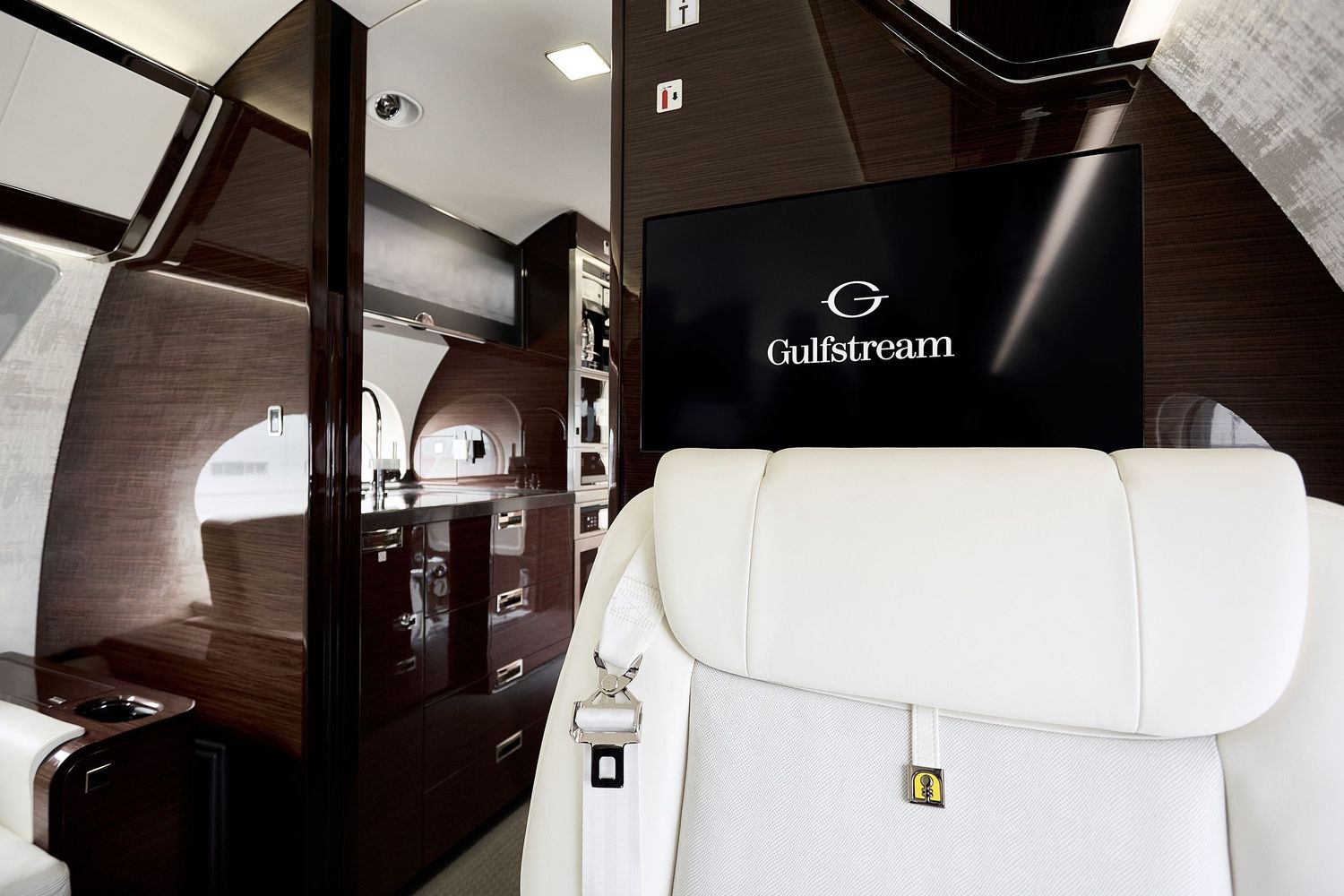 Modern private aircraft cabin with dark wood accents and white leather furnishings.