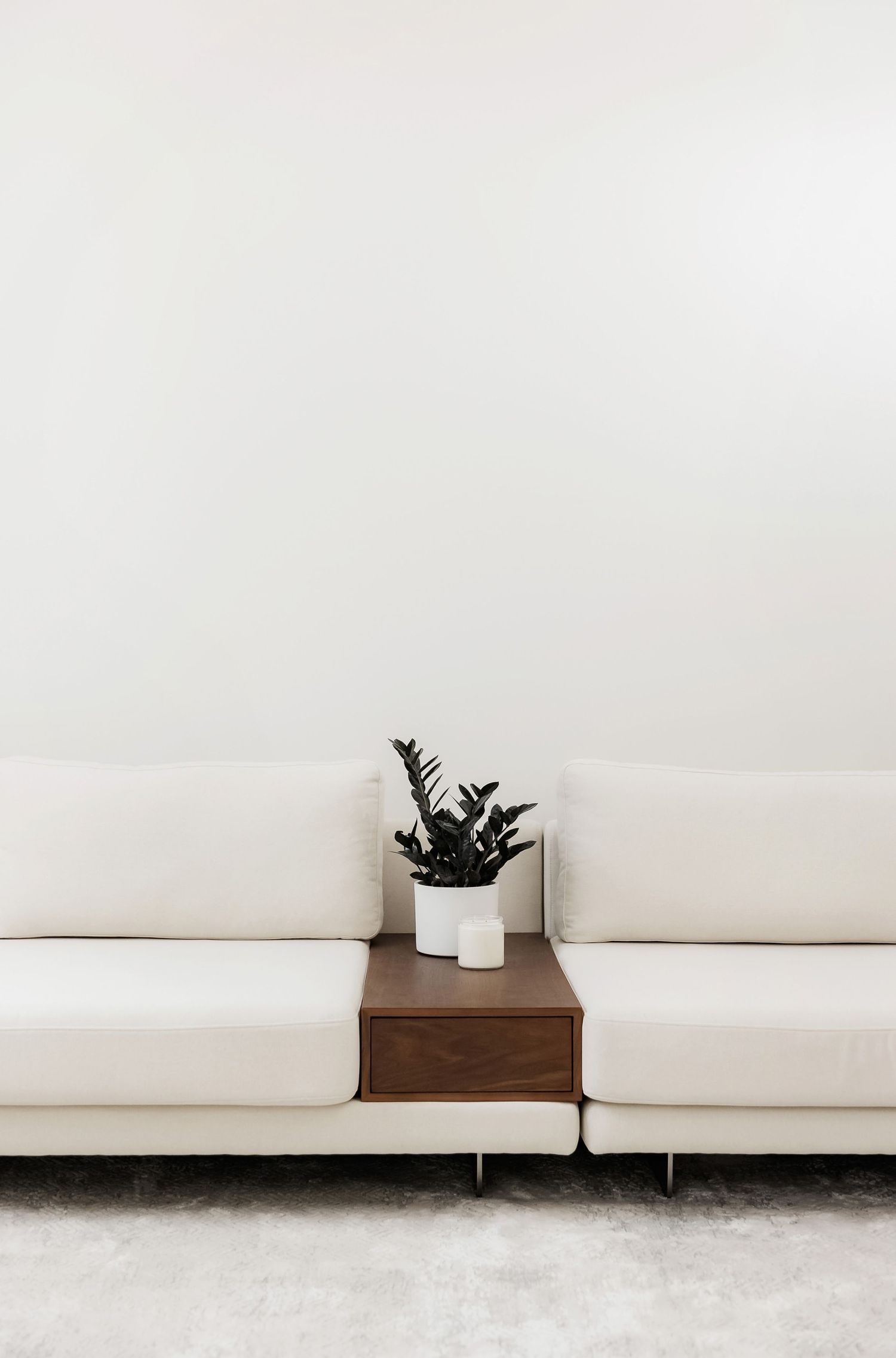 Minimalist white living room with modern sofa and small potted plant on wooden side table.
