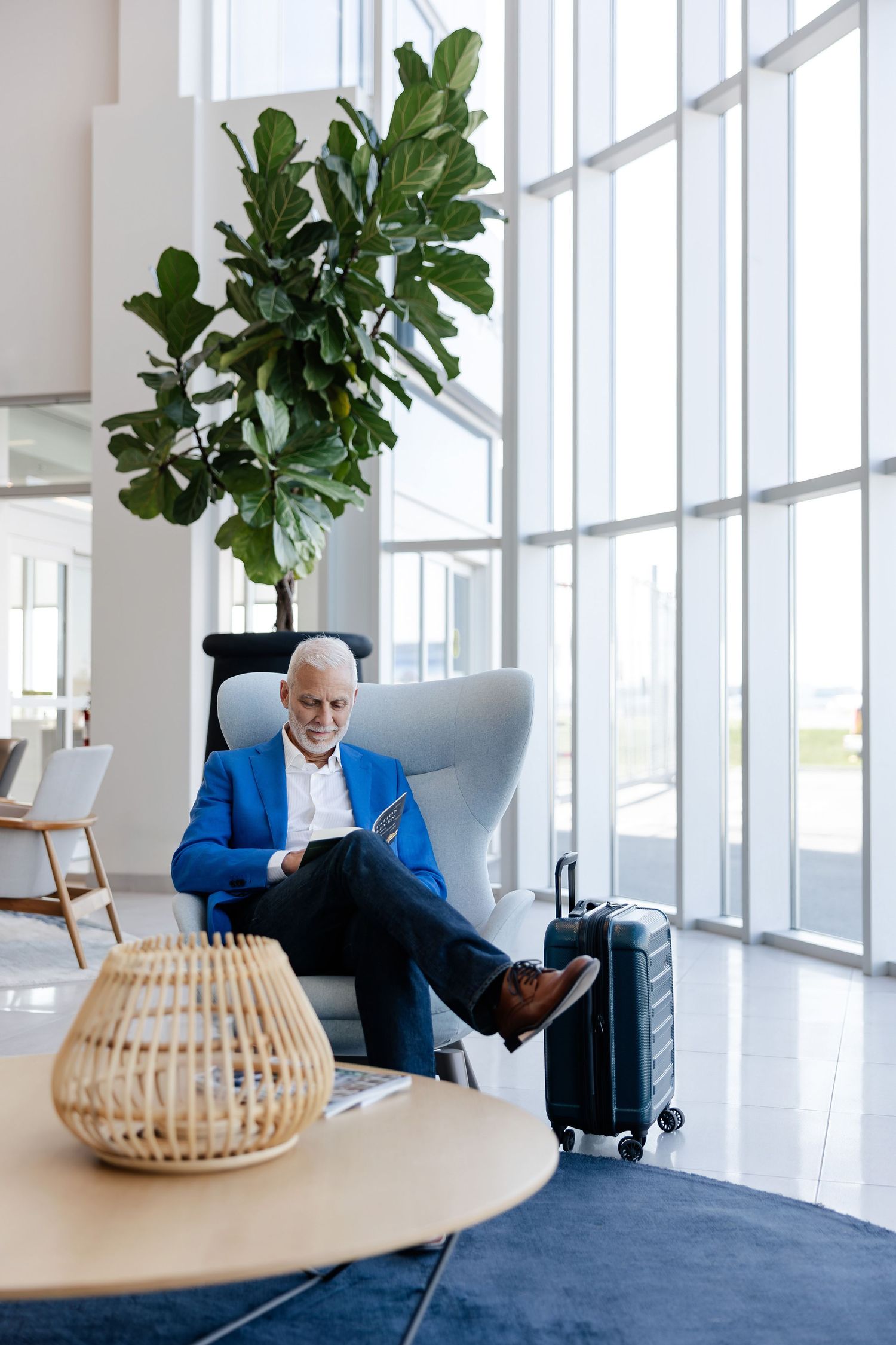 Modern office lounge with large windows, fiddle leaf fig plants and contemporary furniture.