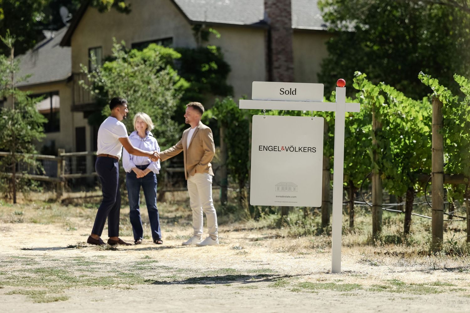 Wide view of visitors exploring a winery's outdoor grounds with signage.