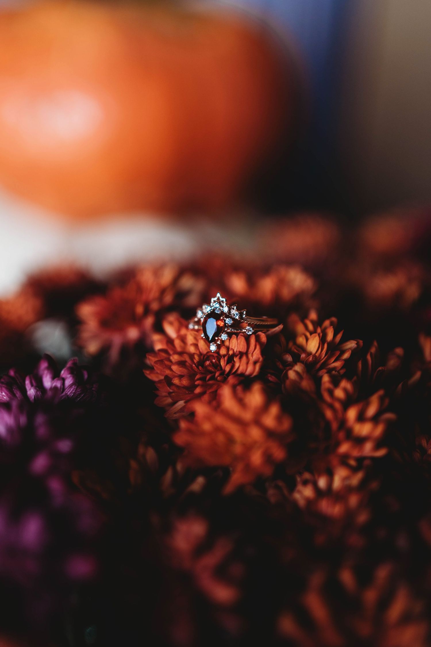 Close-up floral detail featuring orange and purple blooms captured with shallow depth of field in moody, dreamy style.