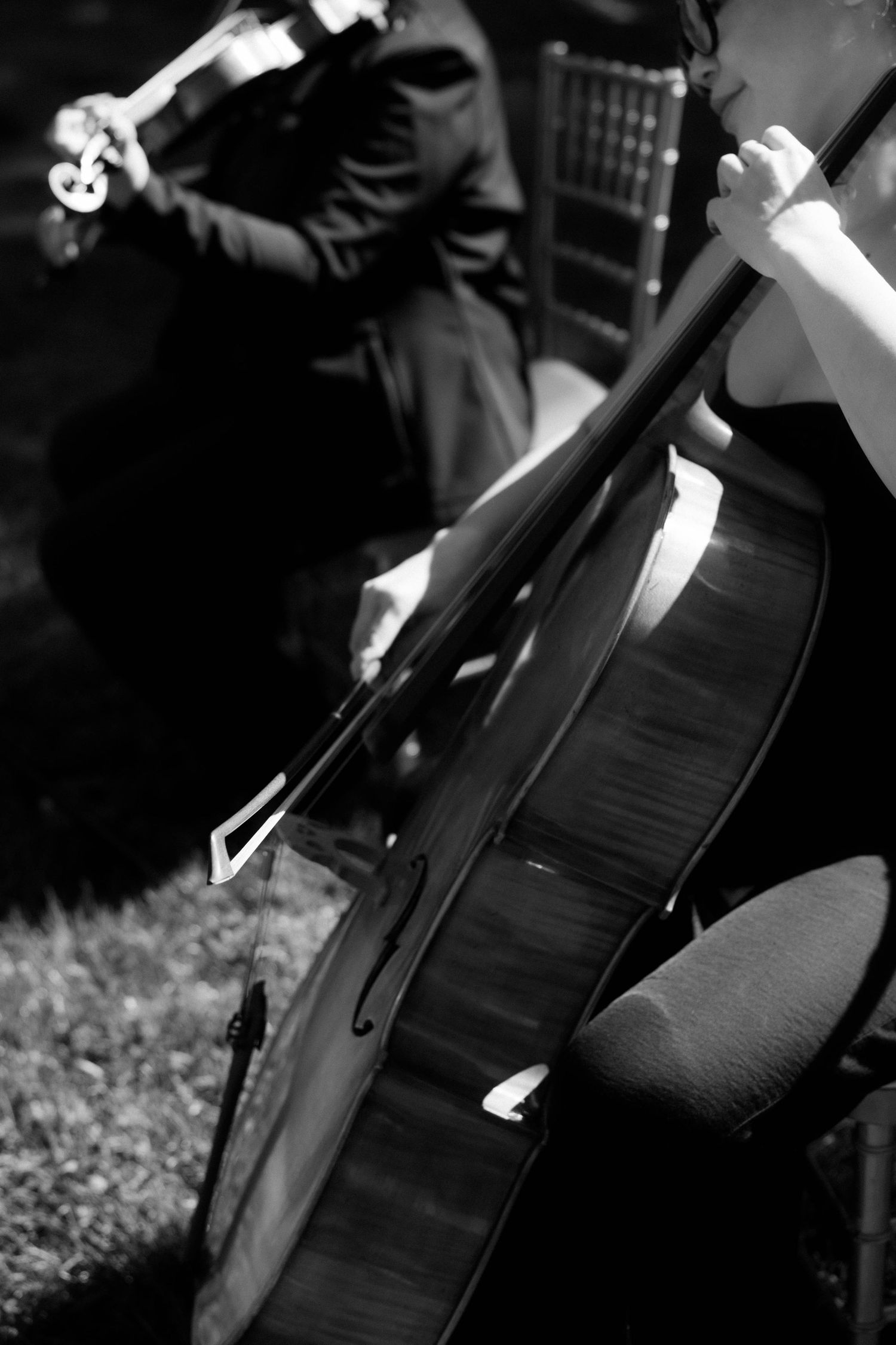 Close-up black and white photo of cellos being played at outdoor event.