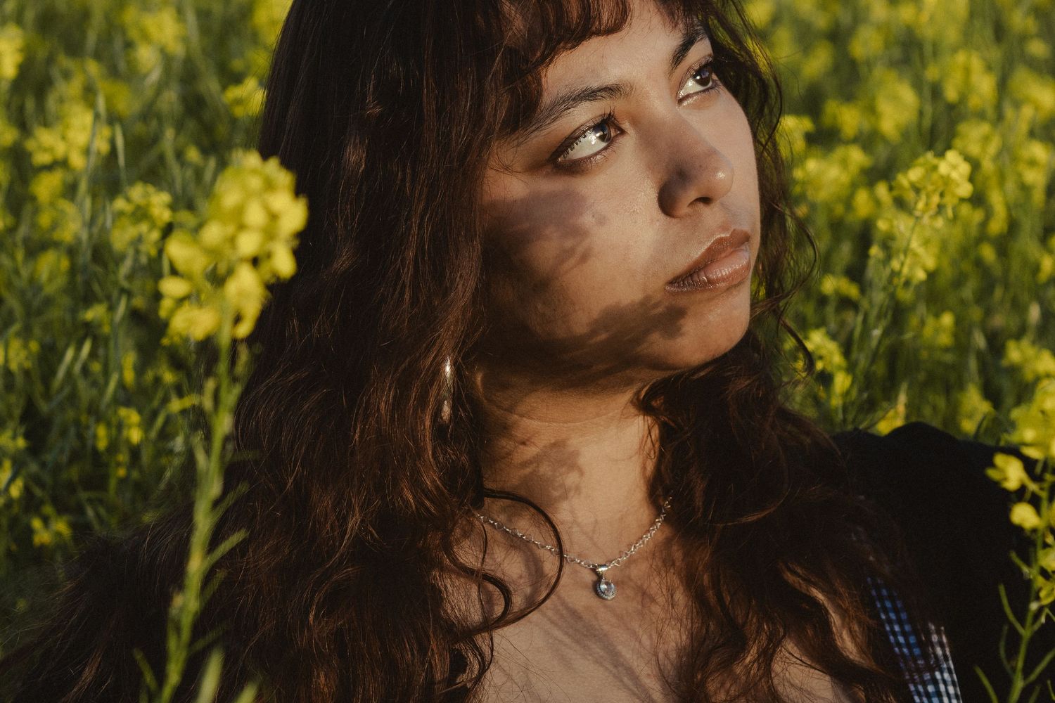 Person with long dark hair gazes thoughtfully while sitting in a field of bright yellow flowers at sunset.