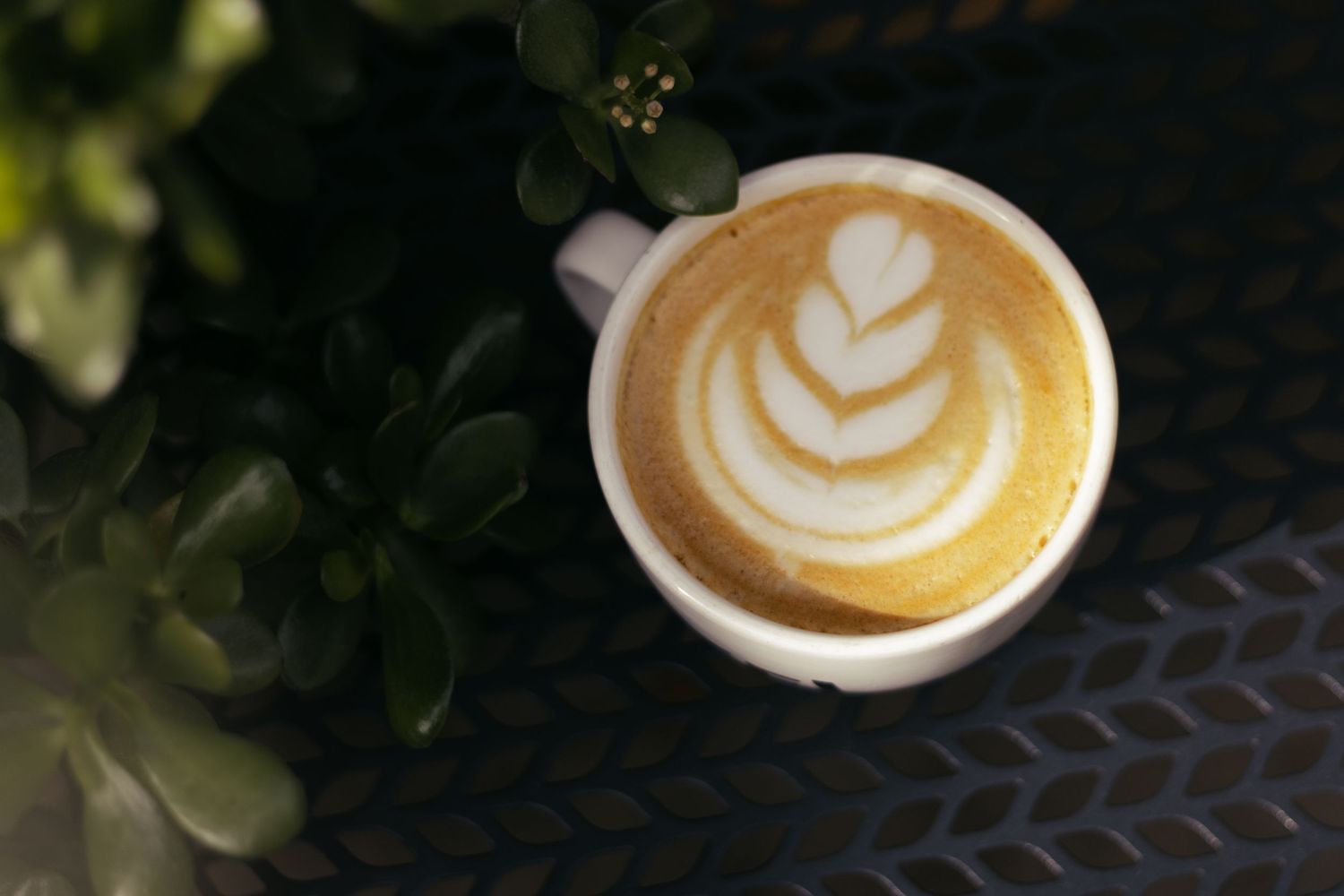 A white ceramic cup of latte art with a tulip design sits on a dark table beside a green plant.