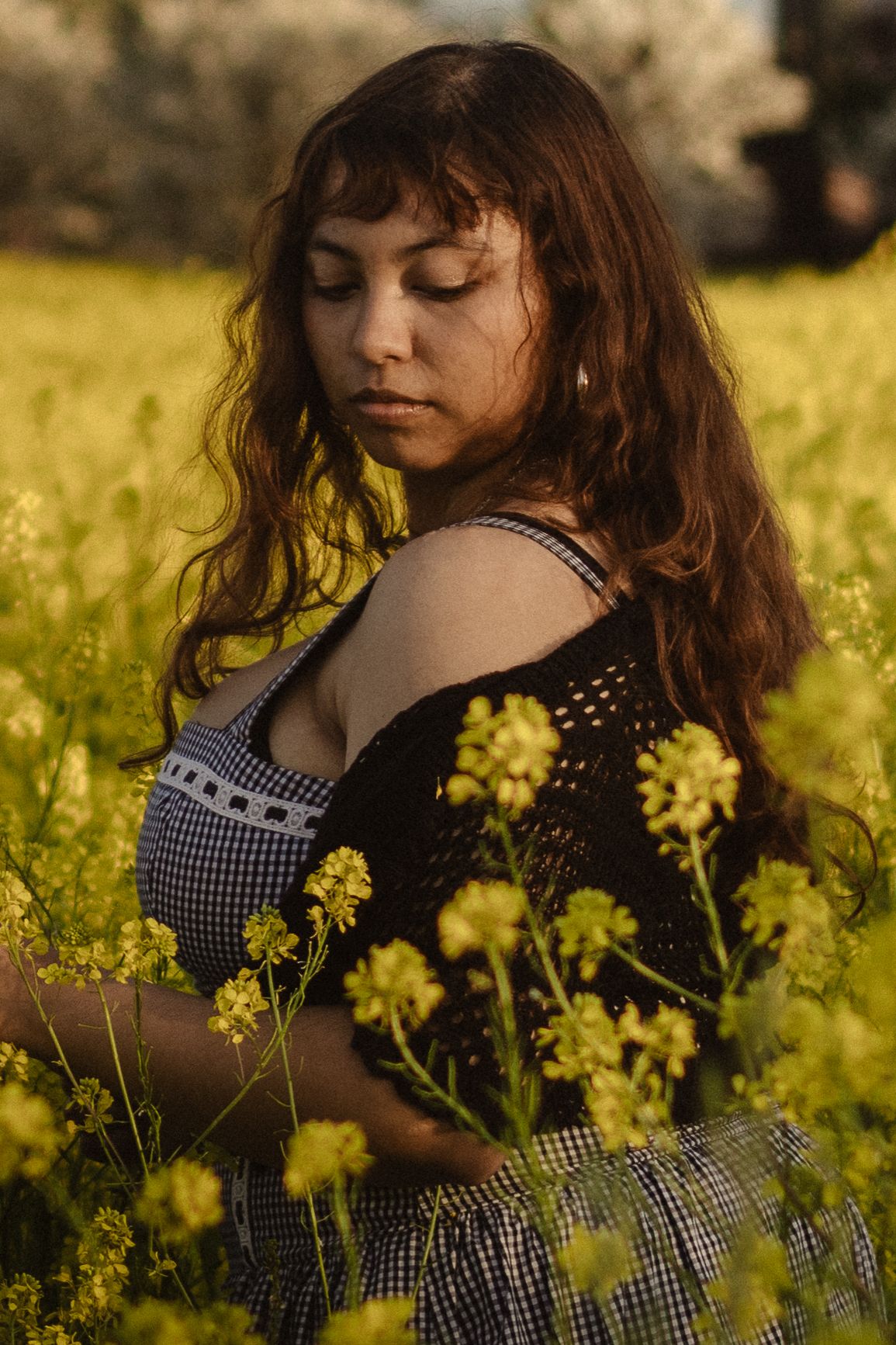 Romantic portrait series in a gingham dress among blooming yellow wildflowers at golden hour.