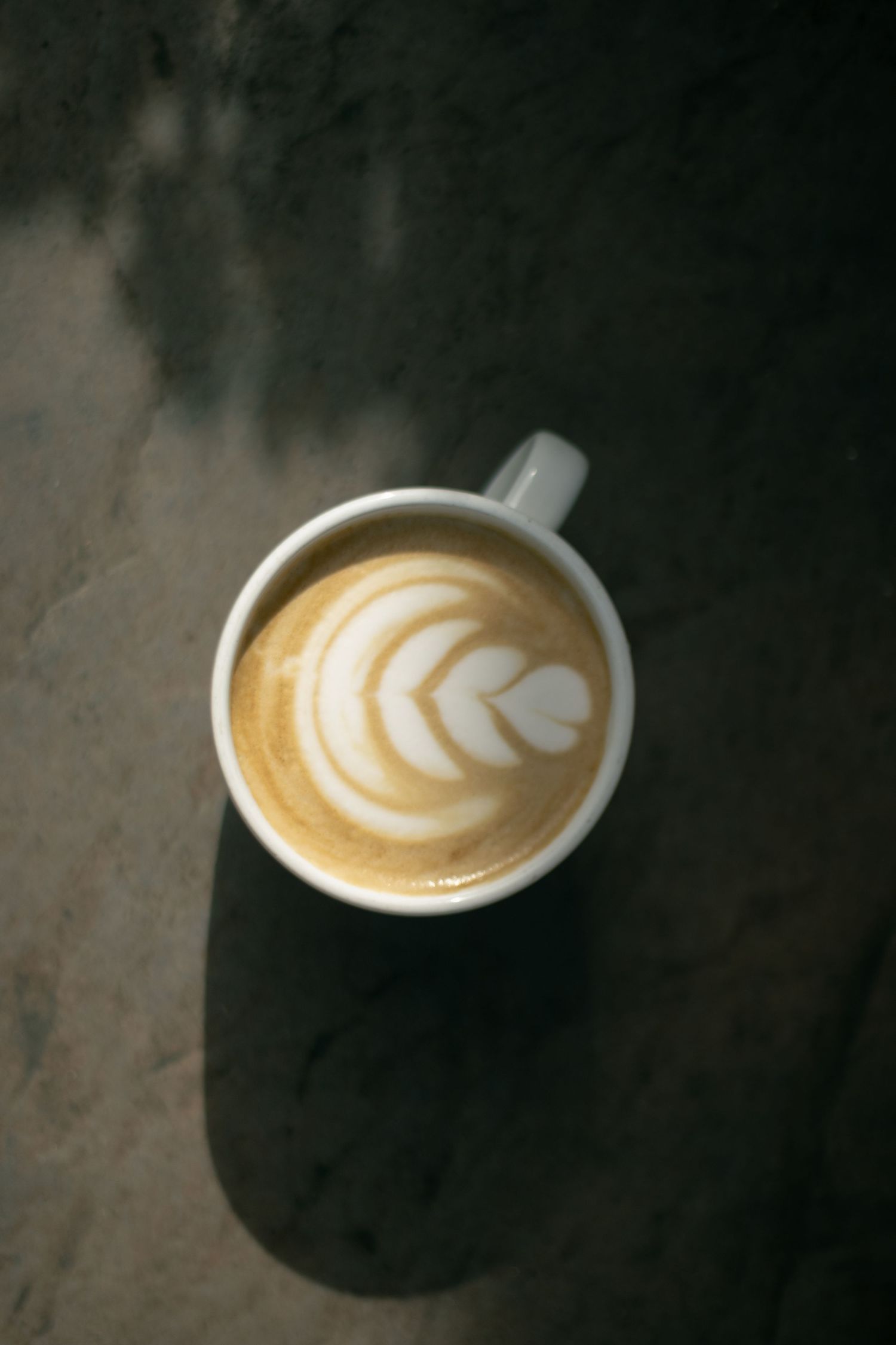 A white ceramic cup of latte with delicate leaf pattern latte art on a dark surface.