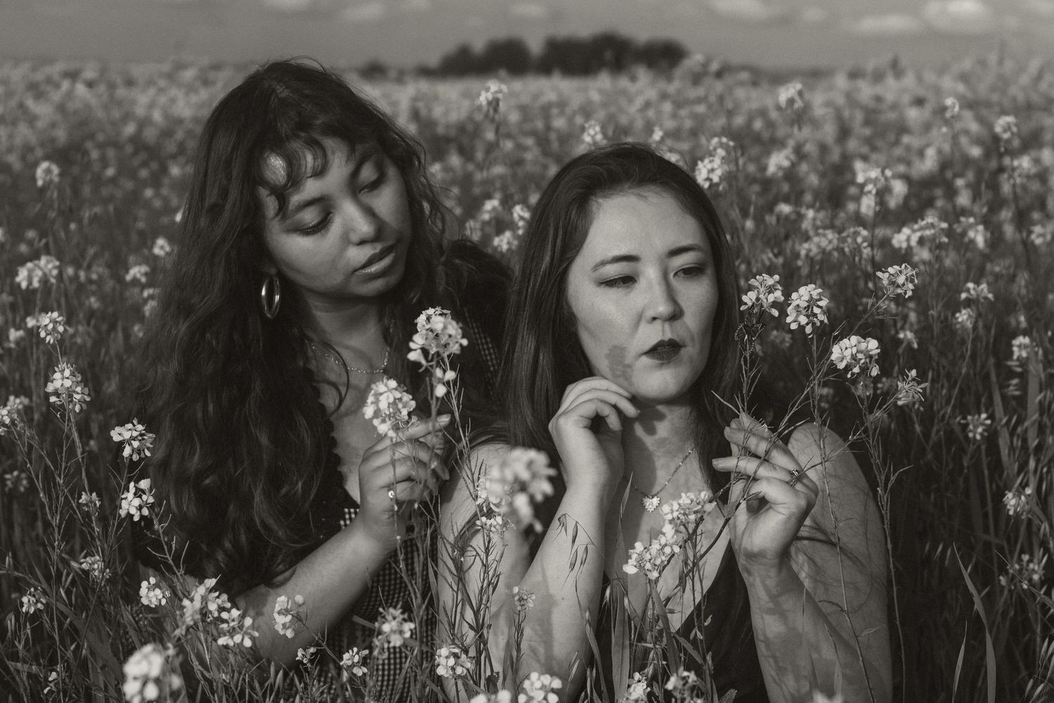 Dreamy black and white portraits taken in a blooming white flower meadow.
