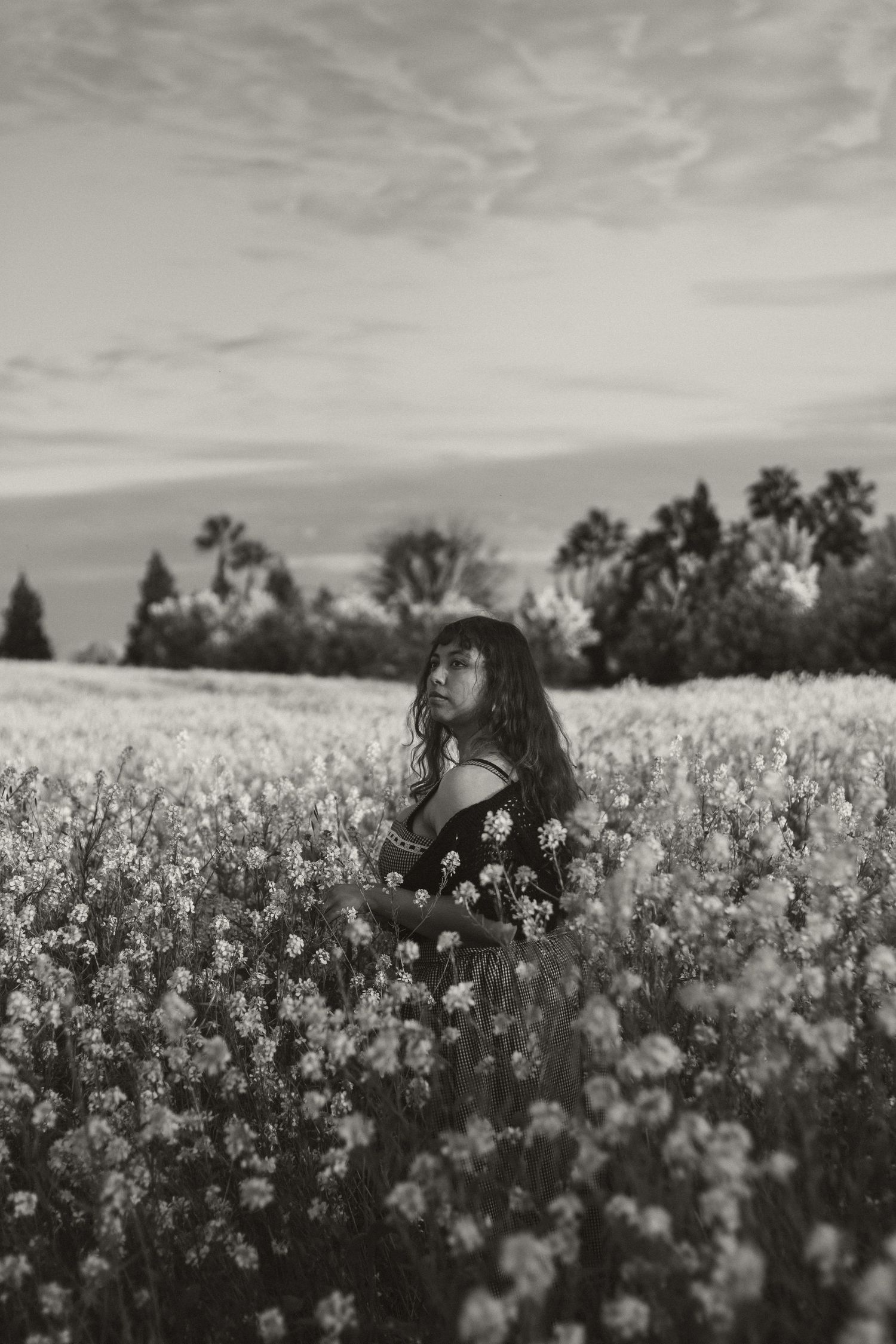 Black and white photograph of a person walking through a blooming canola field under cloudy skies.