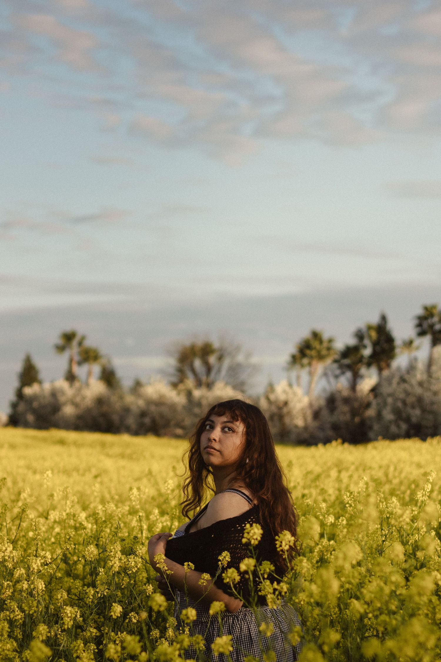 Artistic portrait series captured in a vibrant yellow canola field during golden hour.