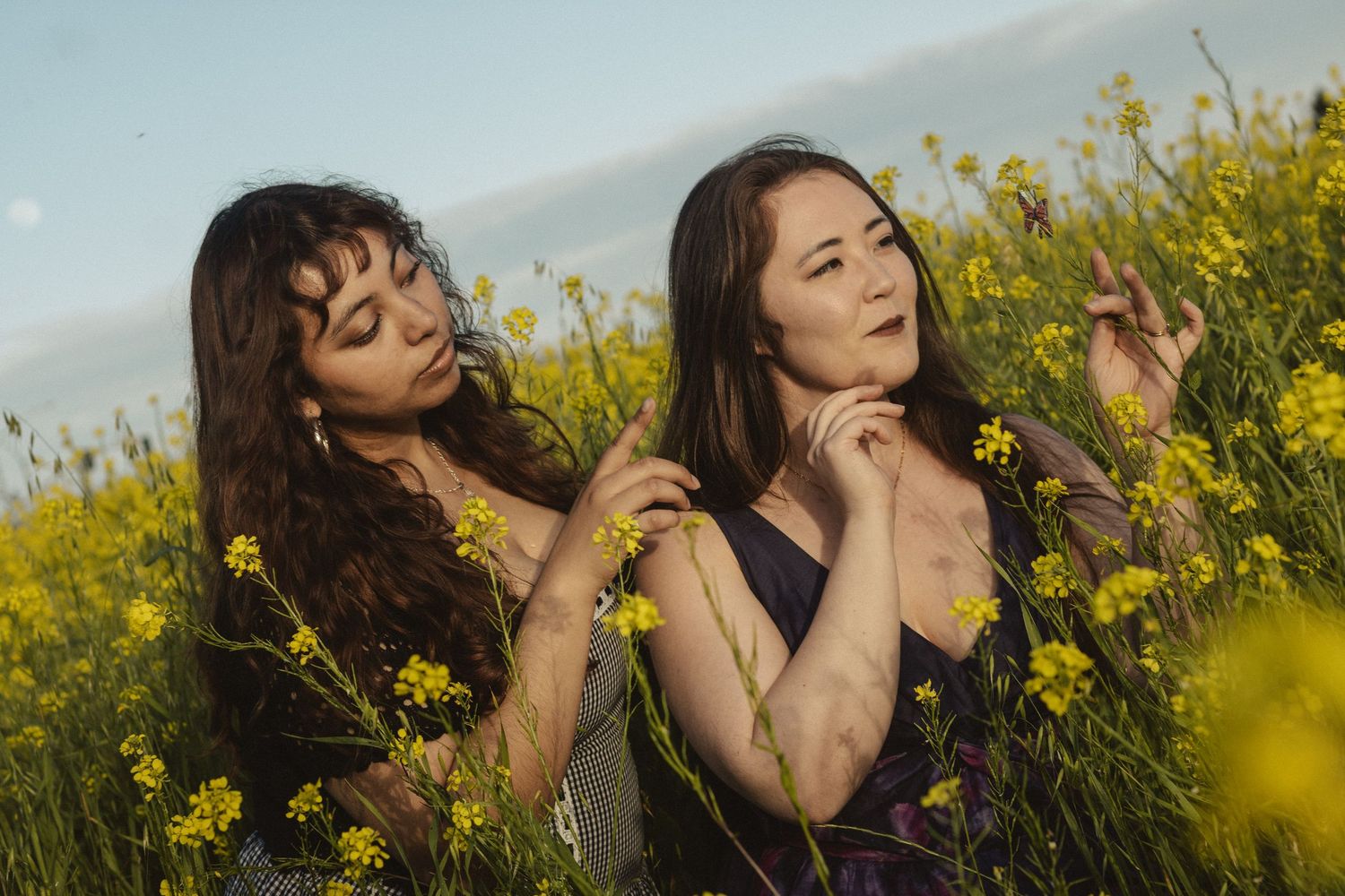 Candid moments captured in a sunlit yellow canola field during golden hour.