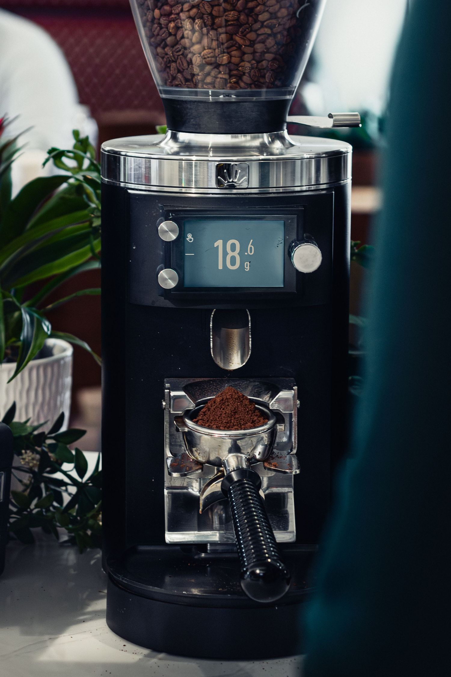 Professional coffee grinder with beans visible in transparent hopper.