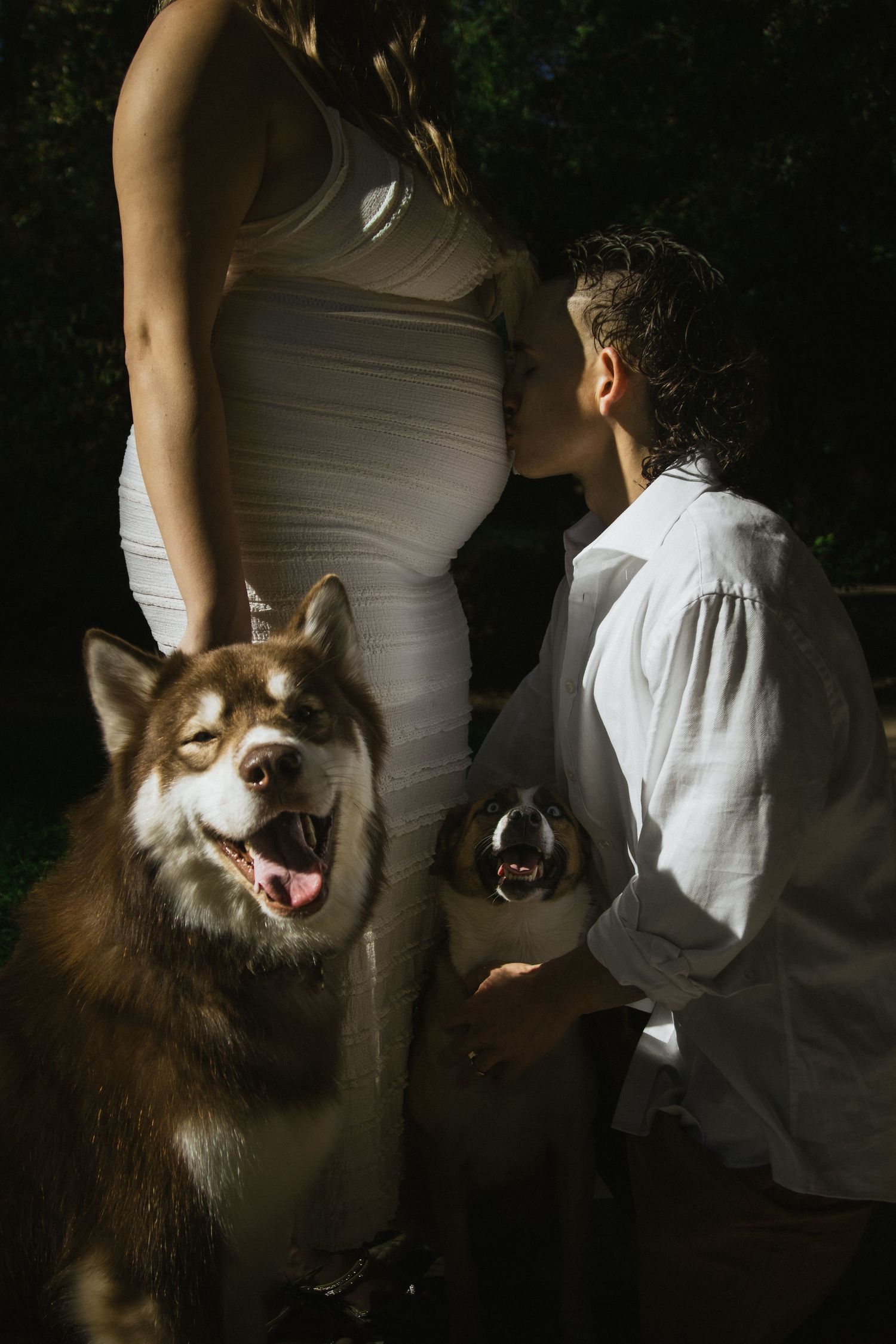 A happy husky dog poses with an expectant couple during a maternity photoshoot.