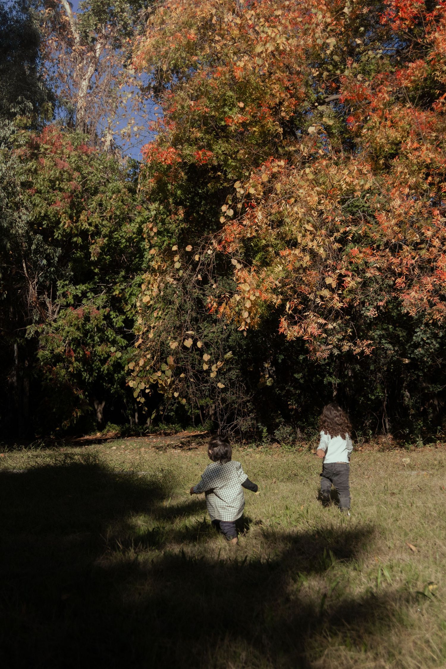 Vibrant autumn trees with orange and red leaves create a scenic natural backdrop.
