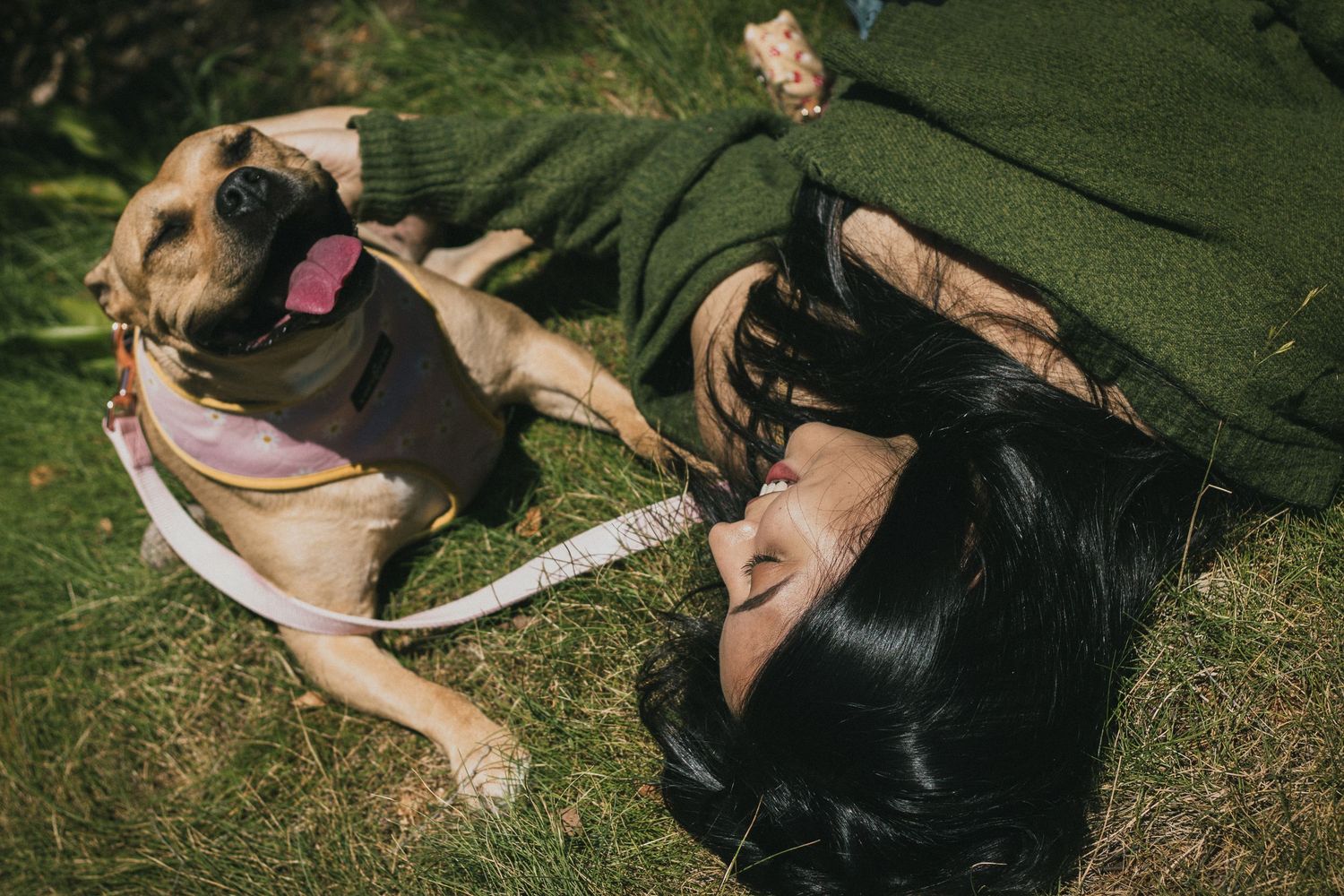People relaxing together on green grass during a sunny day.
