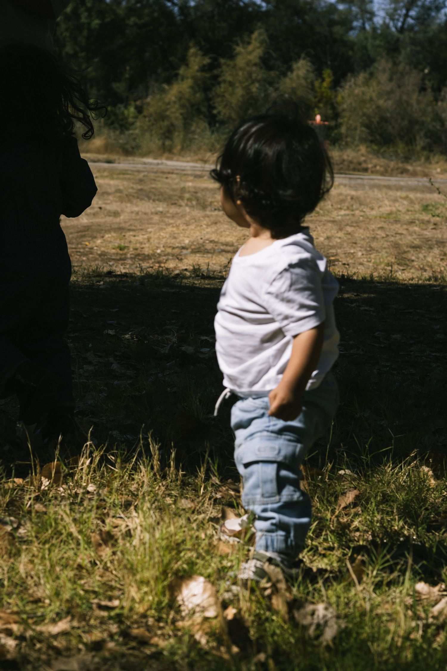 A small child explores a grassy area with trees casting shadows in the background.