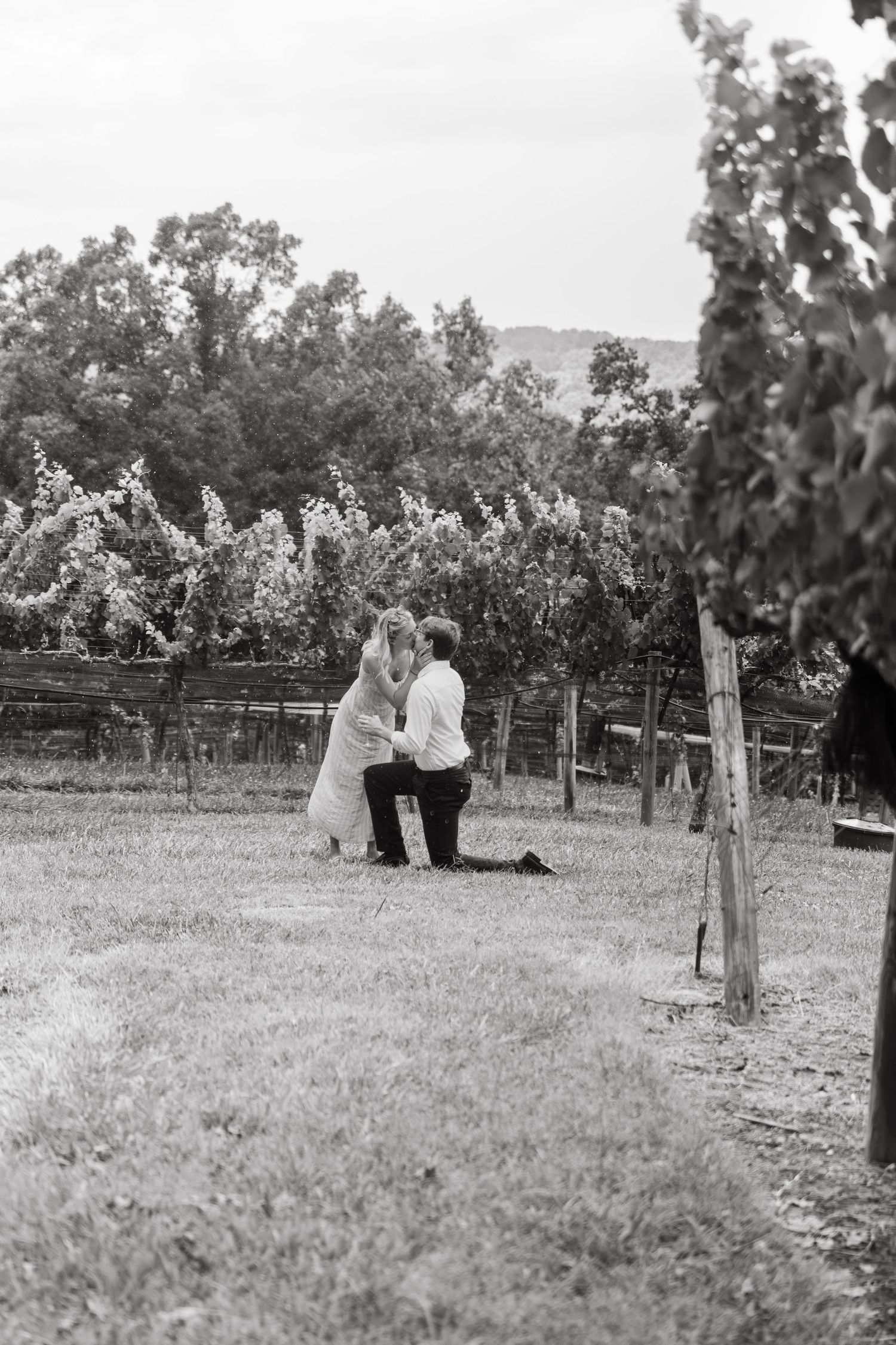 Black and white photo of a man on one knee proposing to a woman in a lush vineyard setting.