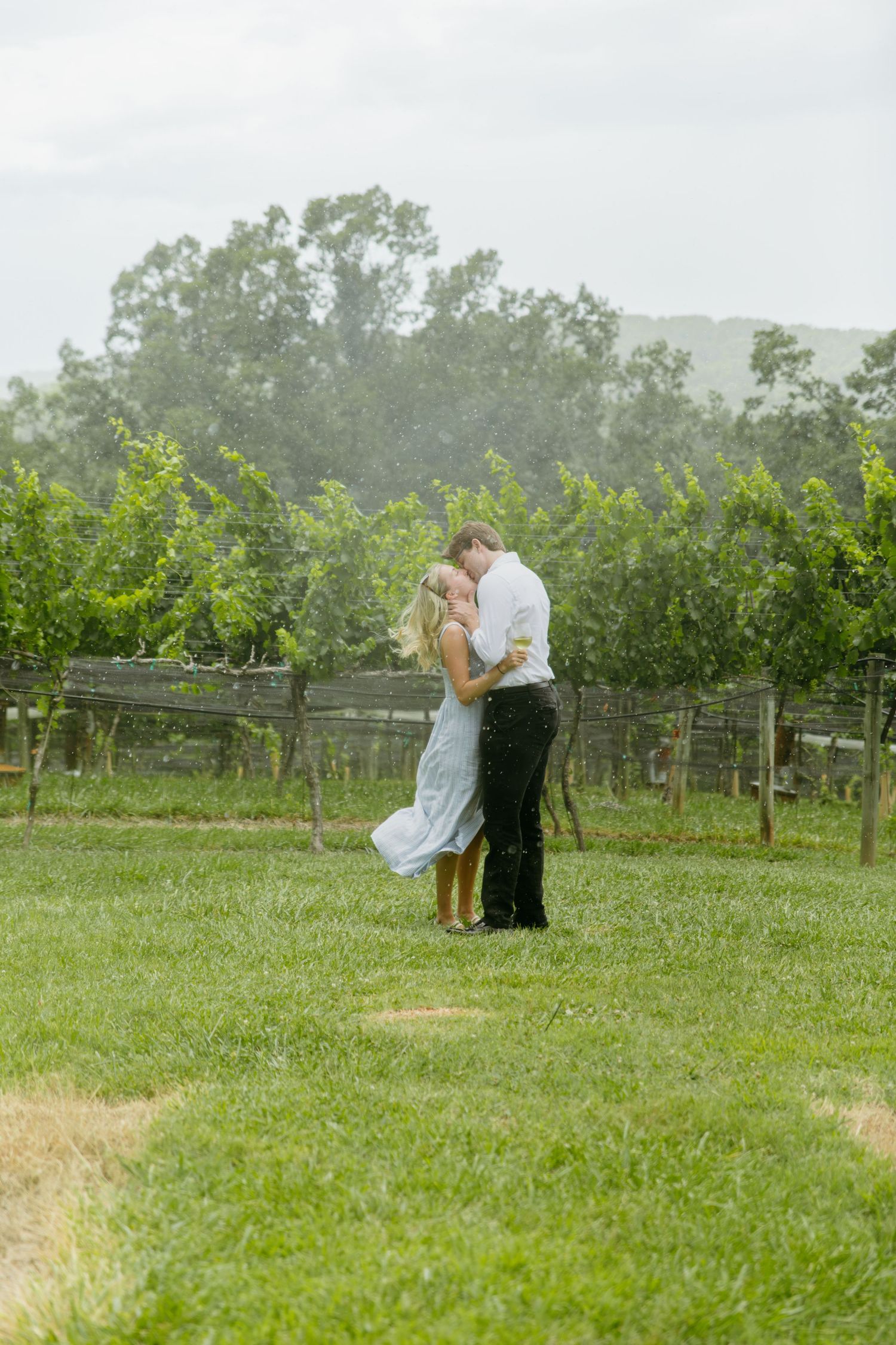 Couple embraces and kisses in the rain among lush green vineyard rows on a romantic stormy day.