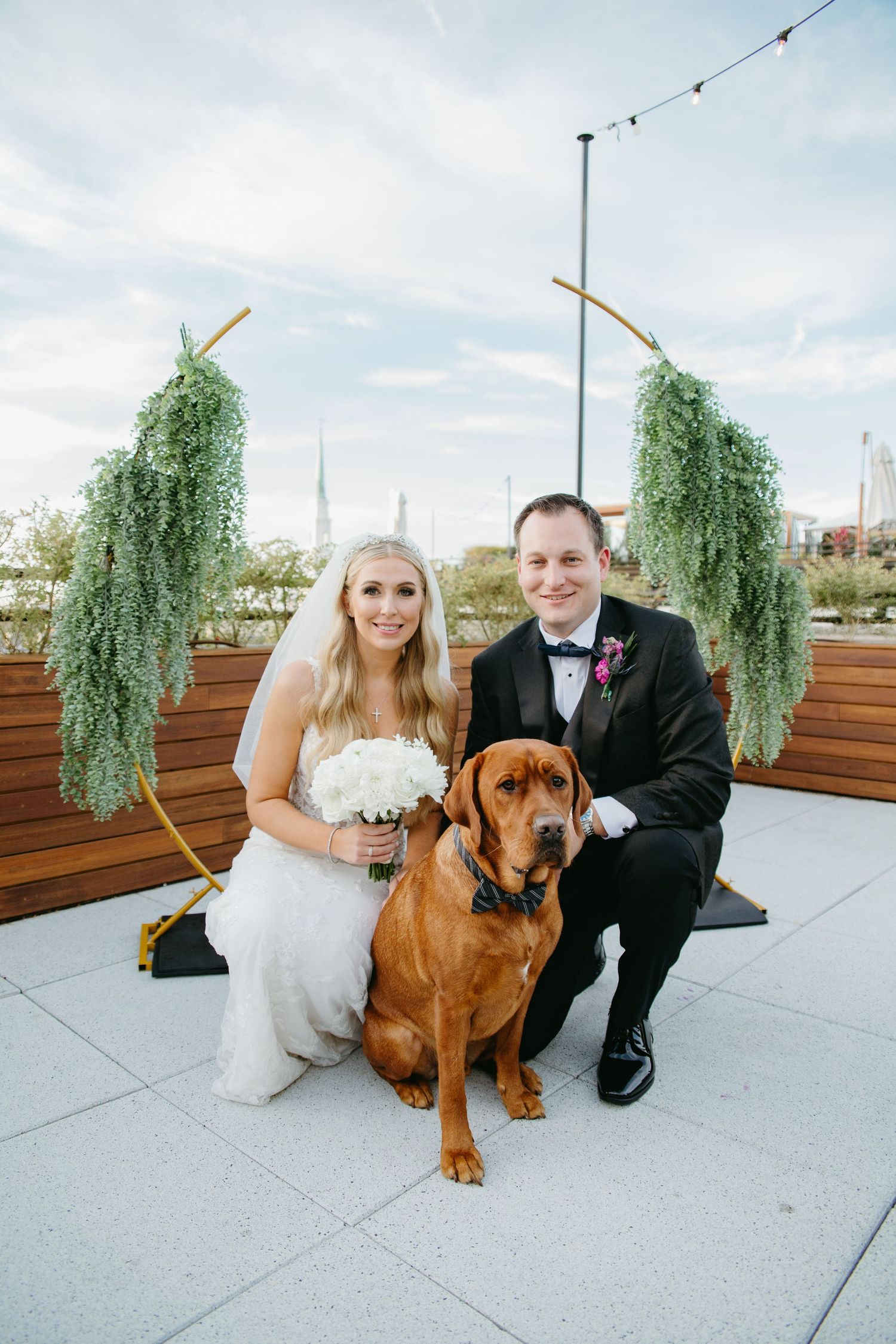 Bride and groom pose with Rhodesian Ridgeback dog wearing bow tie on rooftop venue.