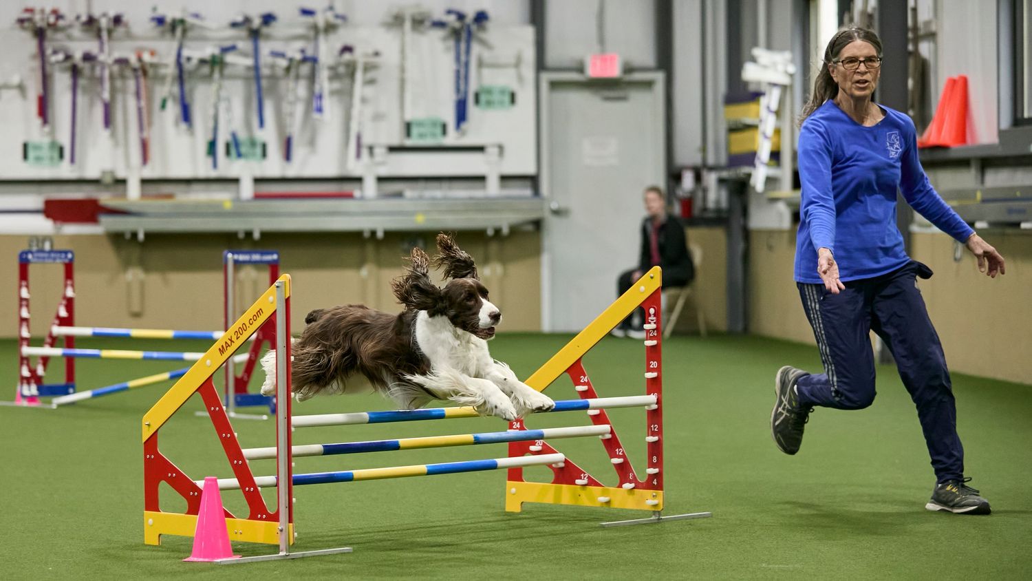 Dog agility, dog show, and portrait photography by ZB Photos — Louisville KY dog sport photographer serving the Midwest and Southeast.