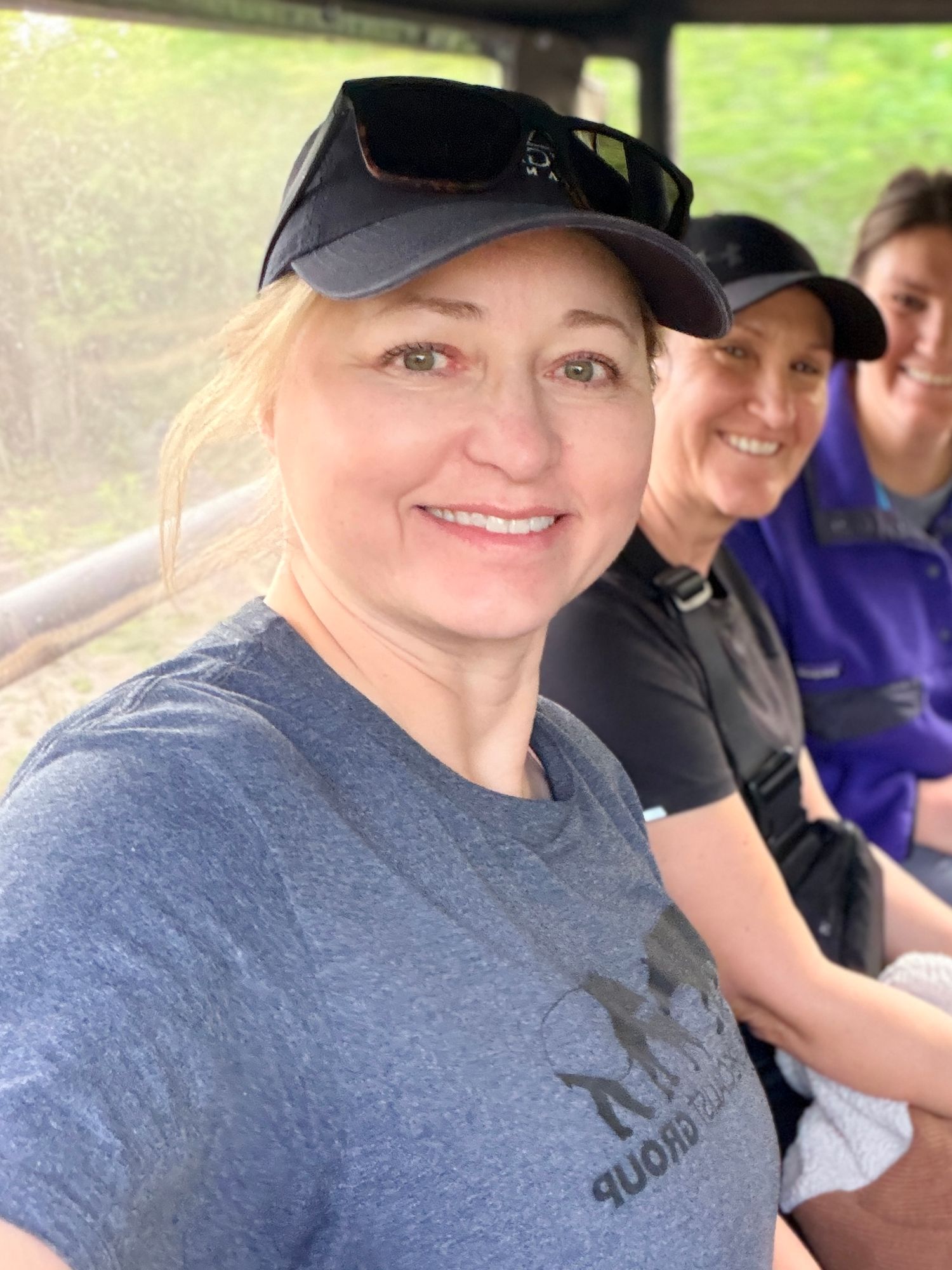 Two rhinoceroses or similar large animals walking on a dirt path in a natural outdoor setting.