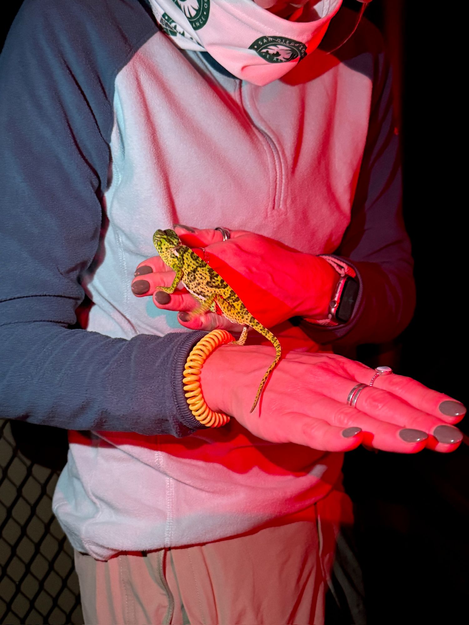 A person wearing a pink and gray outfit with gloves and a mask.