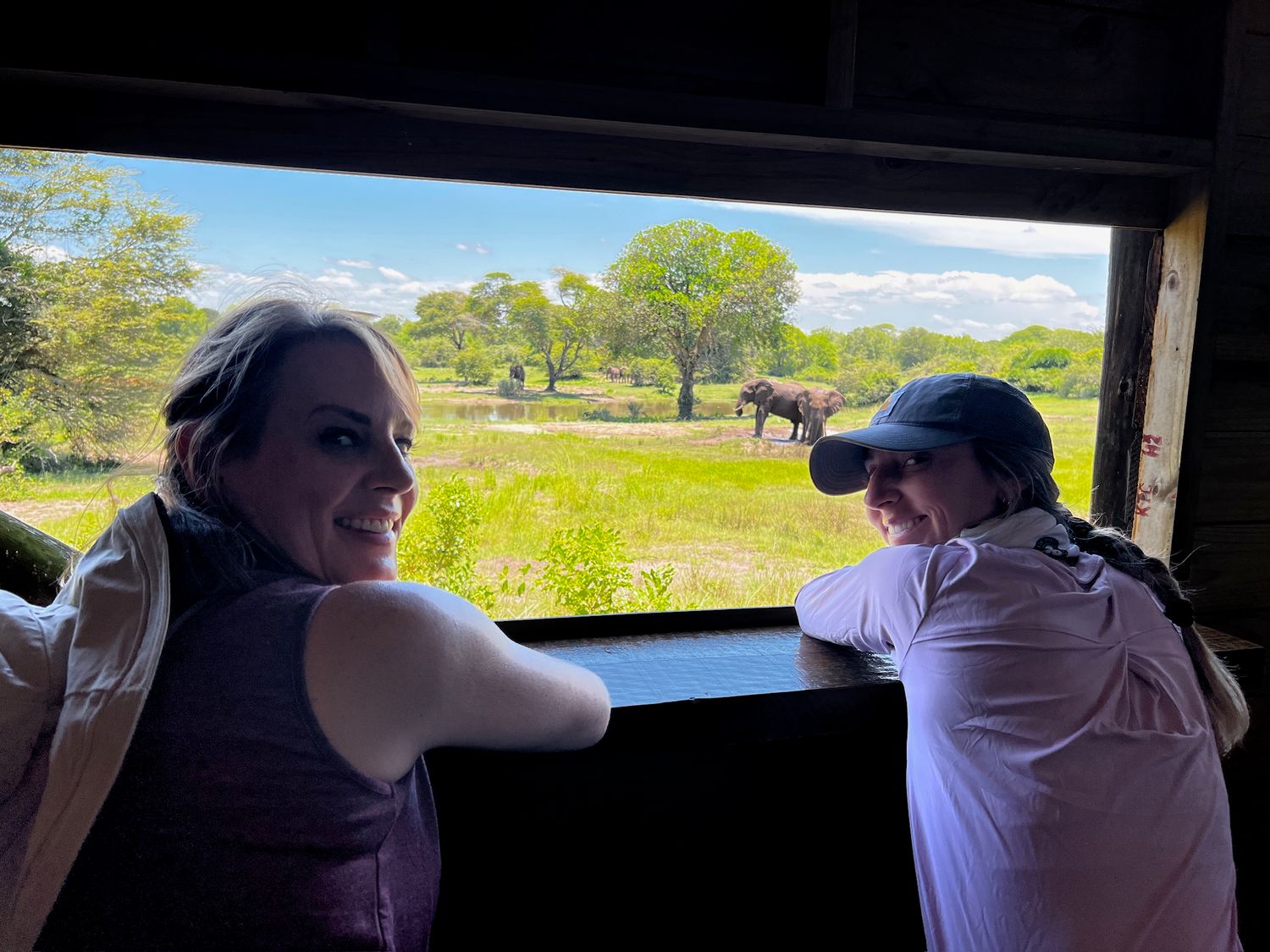 A group of people observing and interacting with wildlife in a natural outdoor setting.