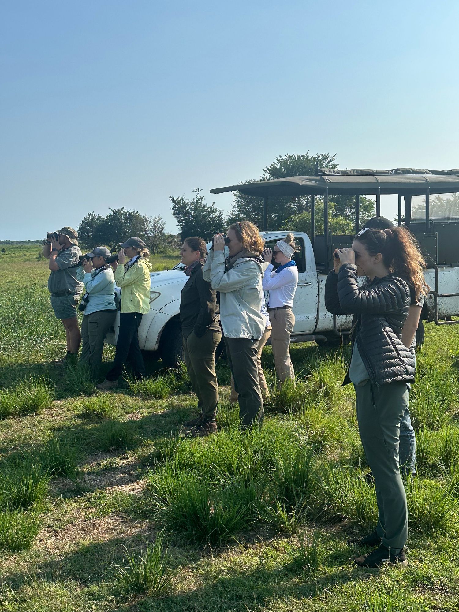 A group of people stand near a safari vehicle in an open field in South Africa with tall grass.