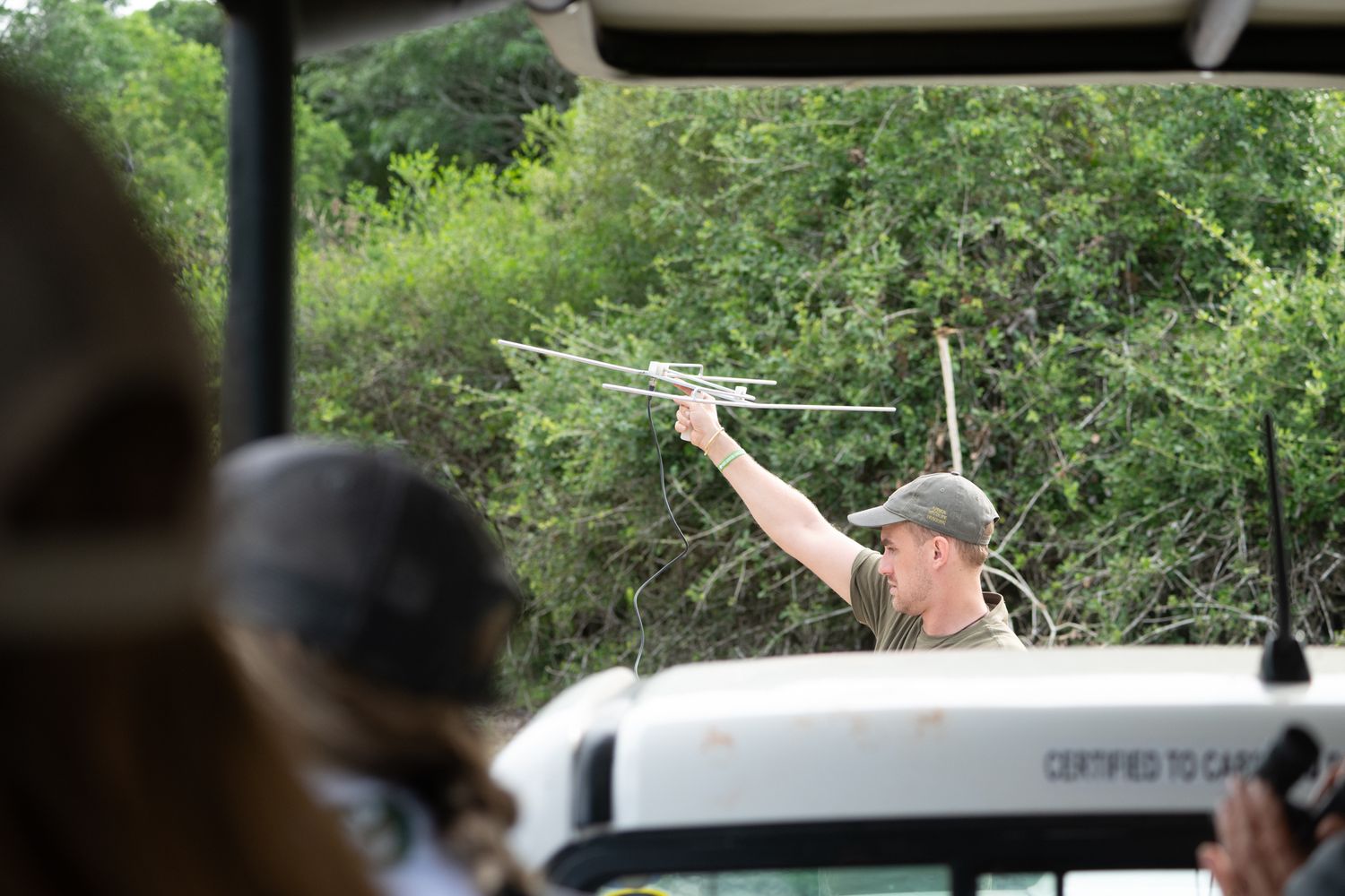 A person in a safari vehicle pointing at something in the distance while on a wildlife tour.