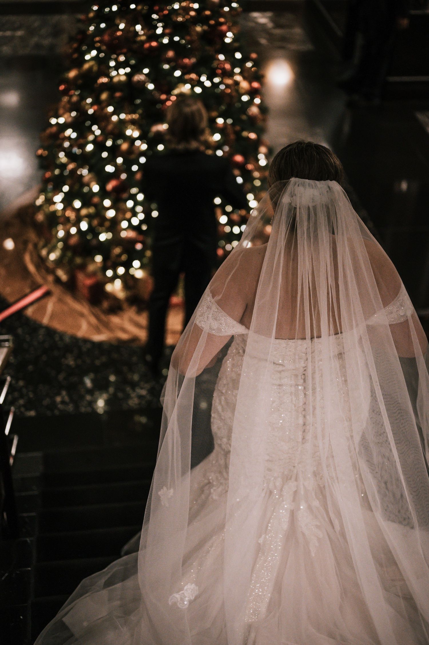Bride in lace gown with cathedral veil walks toward glowing Christmas tree at wedding venue.