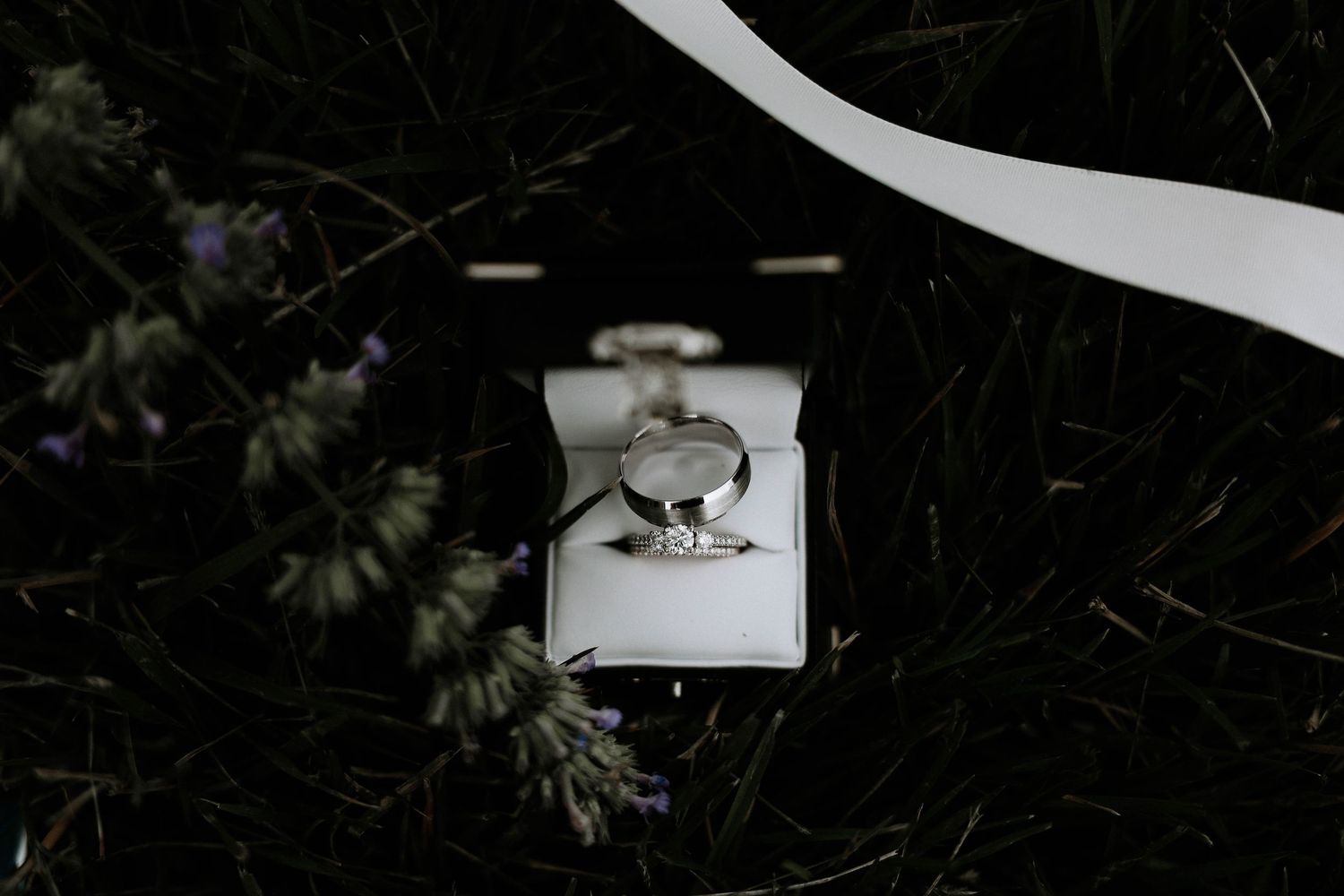 Diamond engagement ring displayed in a jewelry box surrounded by dark greenery and lavender flowers at Stone Valley Meadows in Dayton, Ohio