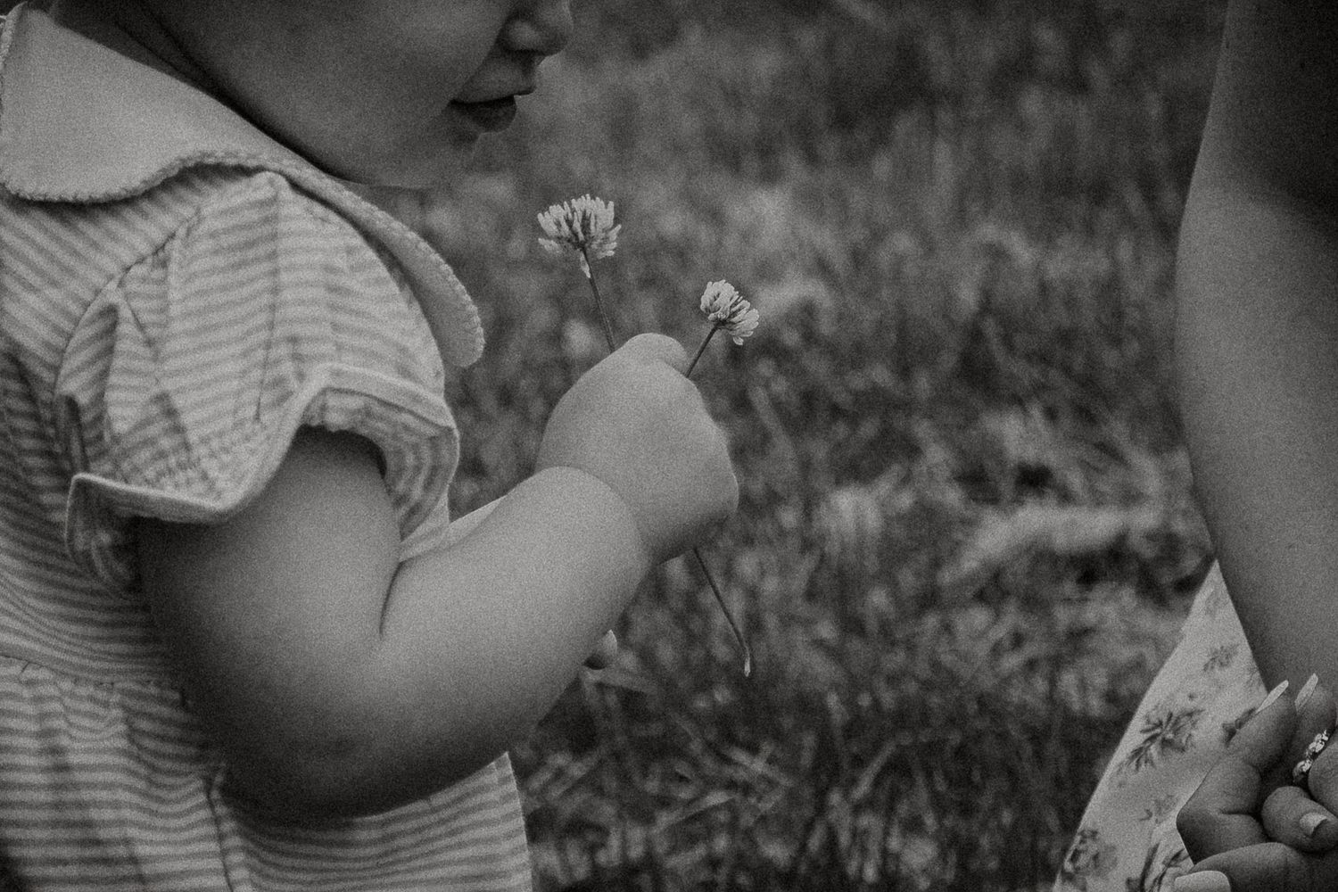 Black and white photo of a toddler in a striped dress holding a dandelion flower outdoors at French Park in Cincinnati, Ohio