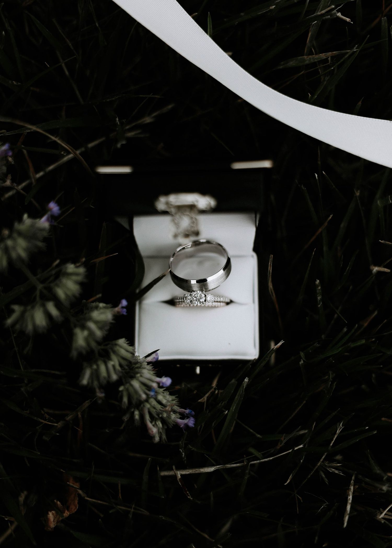 Wedding rings and bands displayed in a white jewelry box surrounded by lavender flowers and lush greenery.