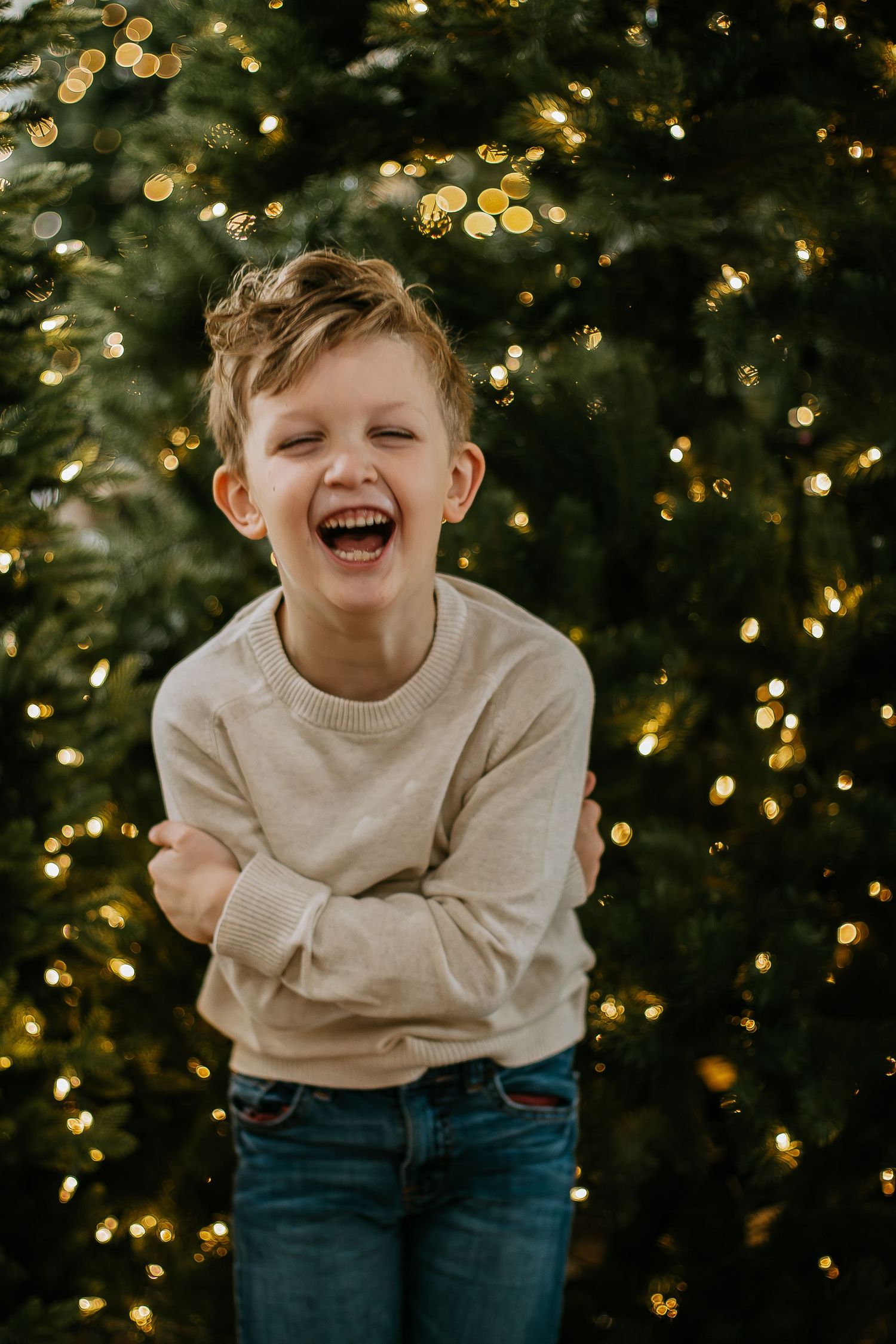 Joyful boy in cream sweater laughing with arms crossed before Christmas tree lights at Mill Street Studios in Cincinnati, Ohio.
