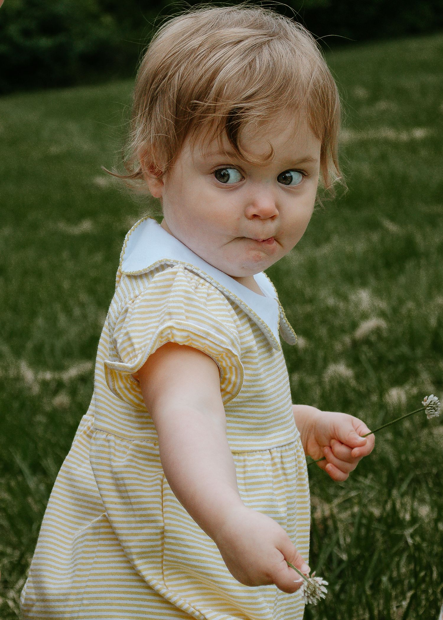 Adorable toddler girl in yellow striped dress holding wildflower on green grass lawn at French Park in Cincinnati, Ohio