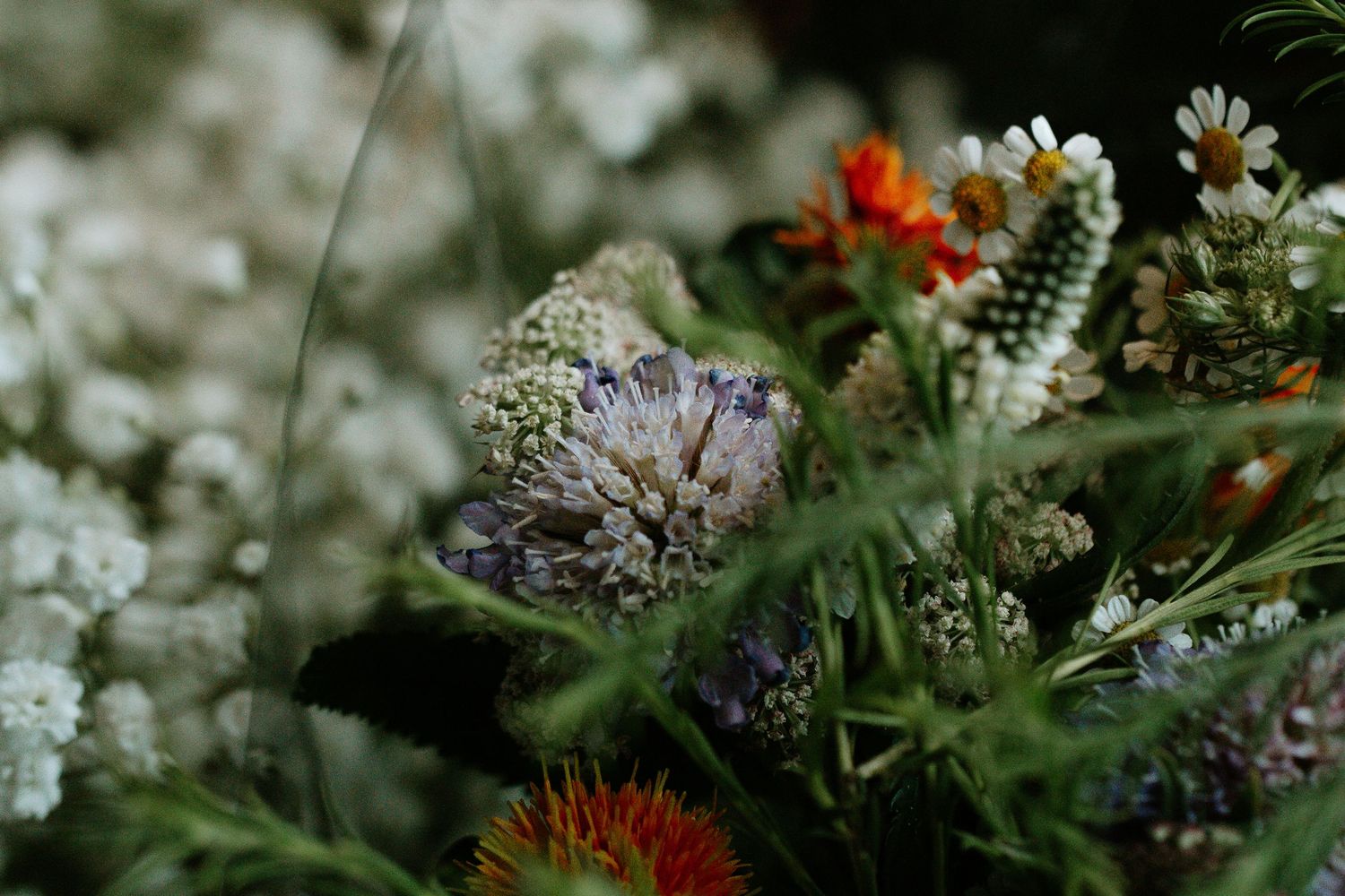 Close-up of a wild wedding bouquet featuring white, orange, and purple flowers with lush greenery.