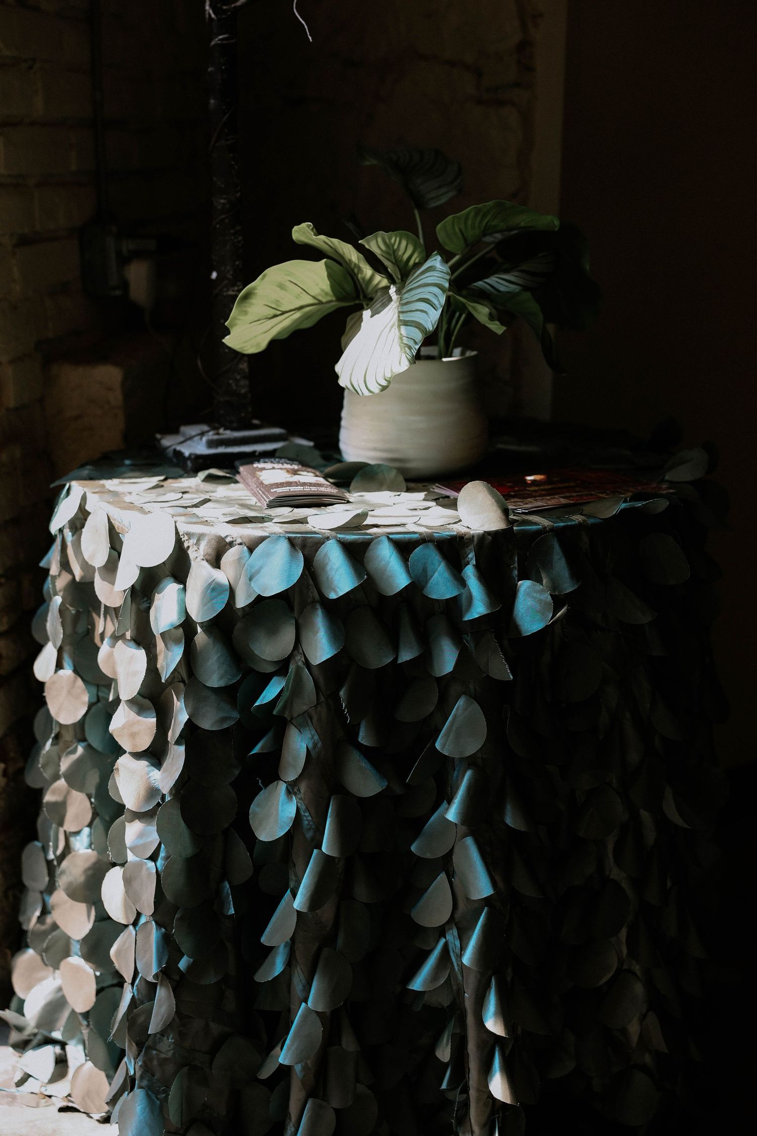 A decorative table draped in a textured petal-style tablecloth topped with a potted tropical plant and scattered cards.