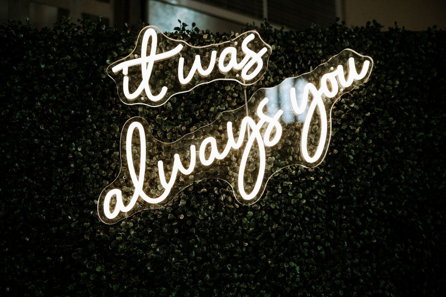 Neon sign reading it was always you mounted on a lush green hedge wall at a wedding reception at Urban Artifact in Cincinnati, Ohio