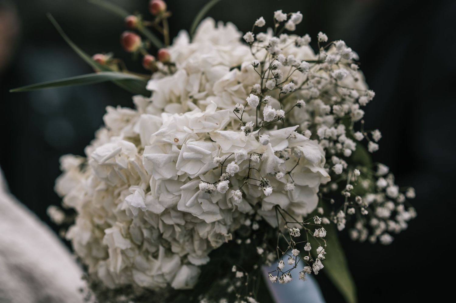 Elegant bridal bouquet of white hydrangeas and baby's breath flowers with soft dark bokeh background.
