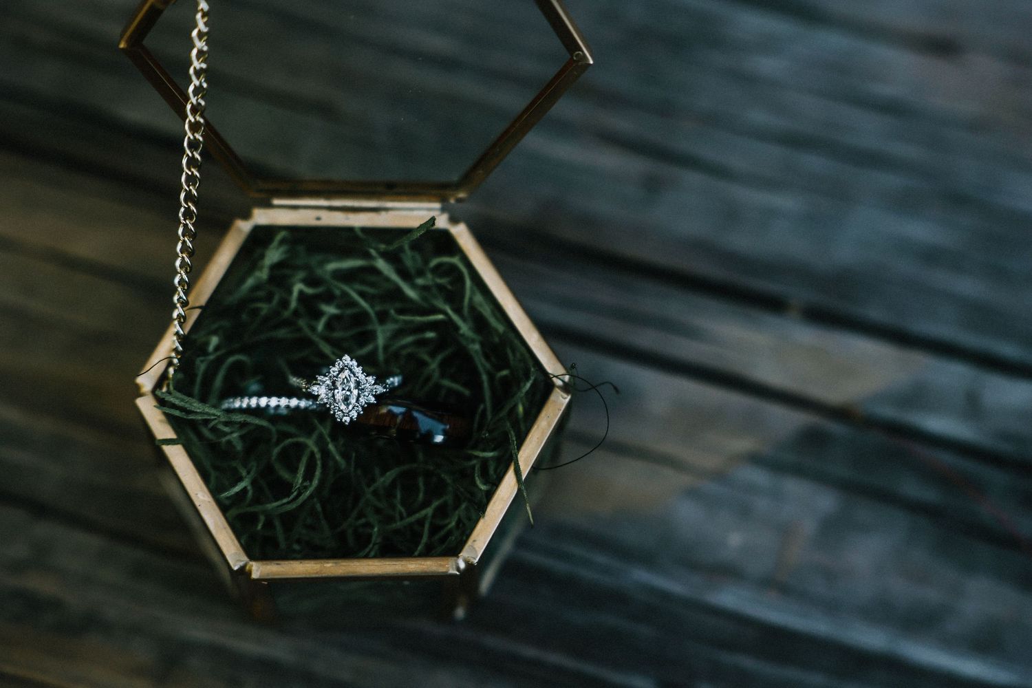 Diamond engagement ring displayed in hexagonal gold terrarium box with green moss on wood surface at Stone Valley Meadows in Dayton, Ohio
