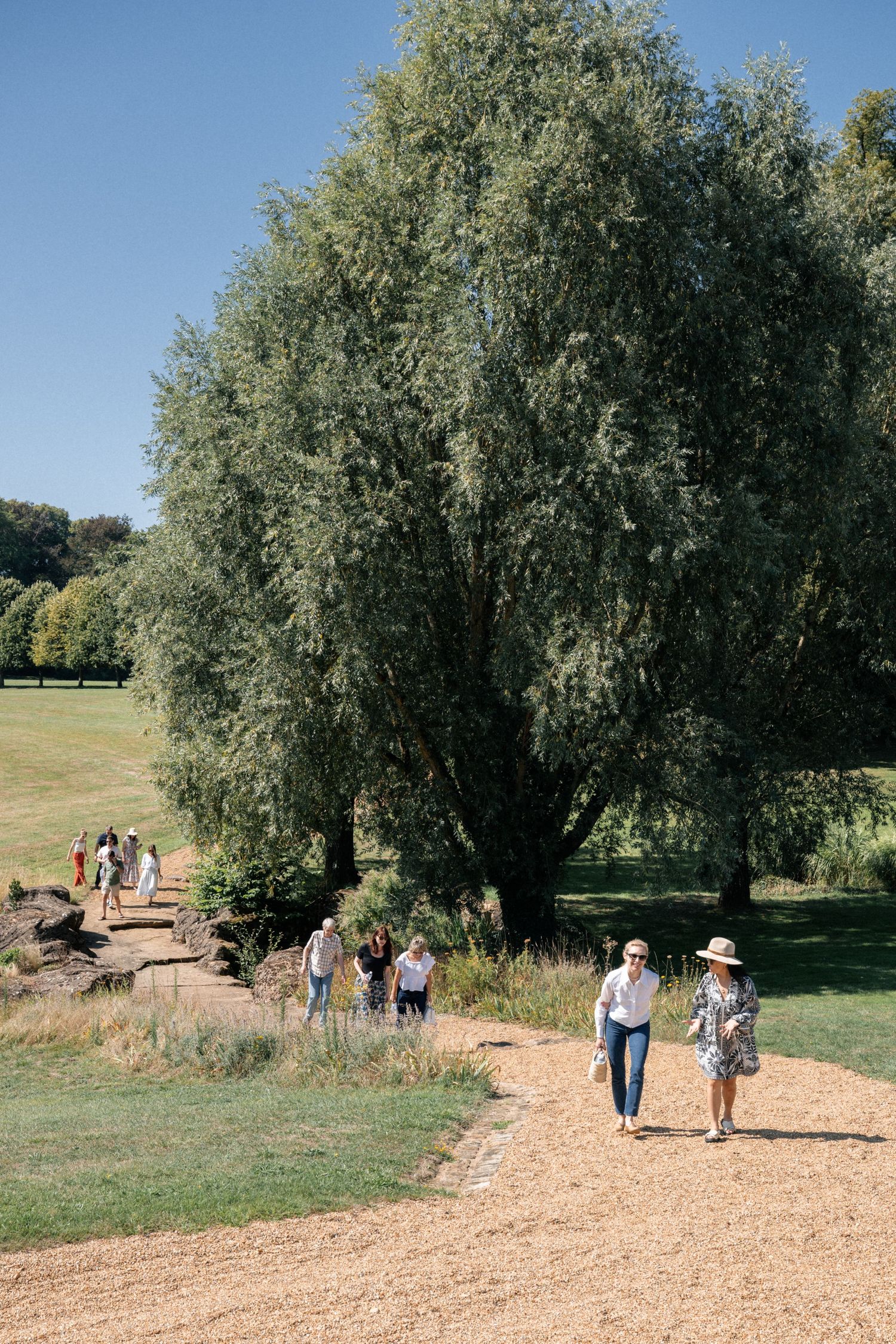 Group of people walking along a path near a large willow tree in a sunny park.