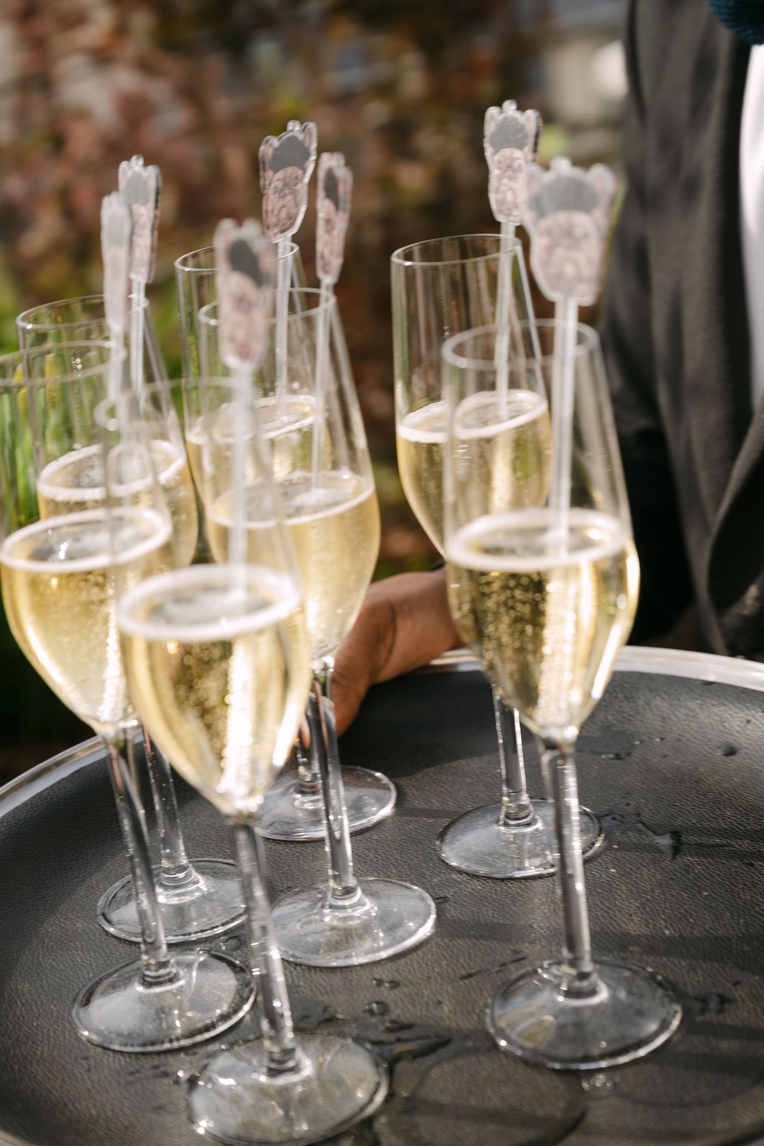 Multiple champagne flutes filled with sparkling wine sit on a dark surface at what appears to be a celebration.
