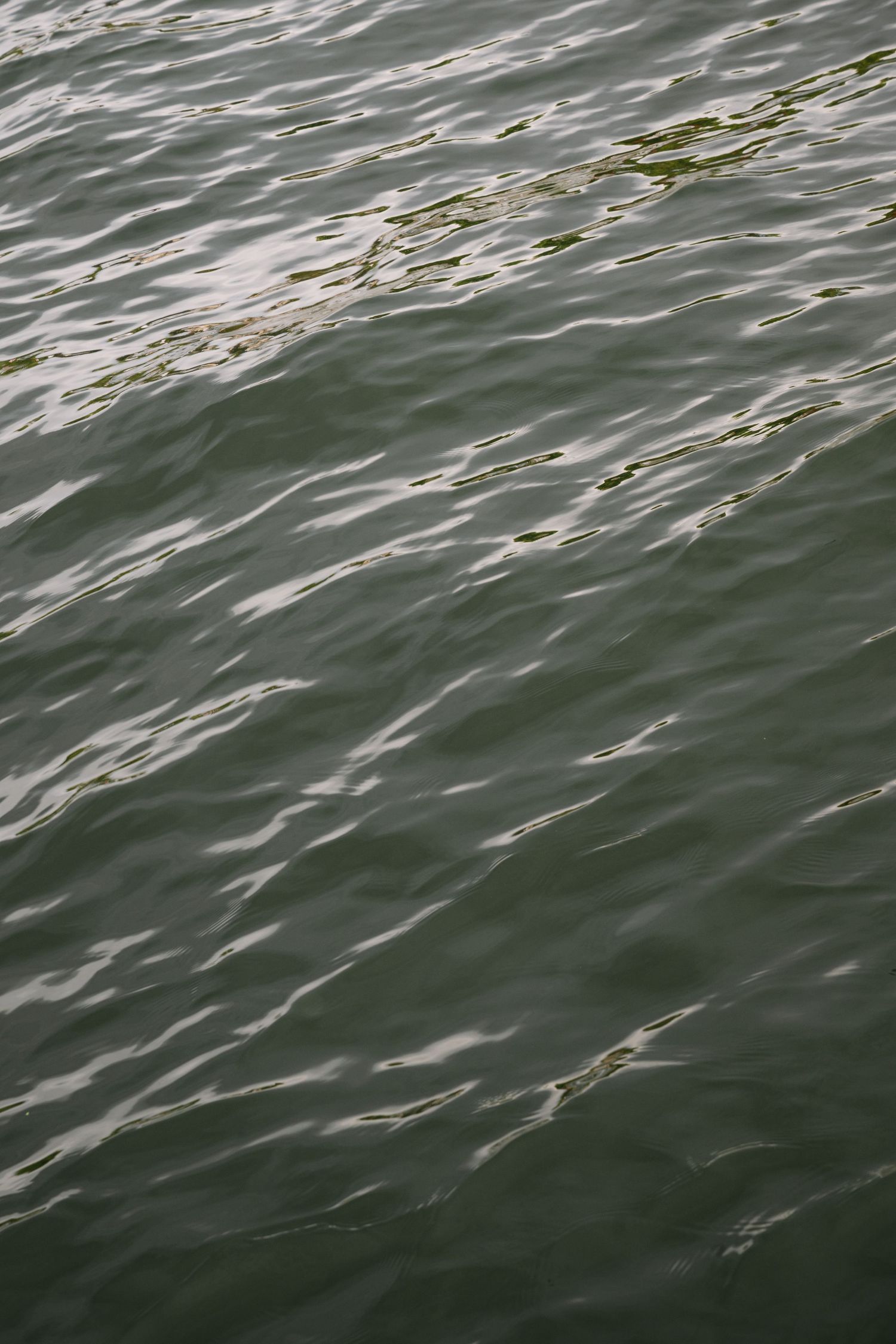 Dark green ocean water surface with rippling waves and reflective patterns in natural sunlight.