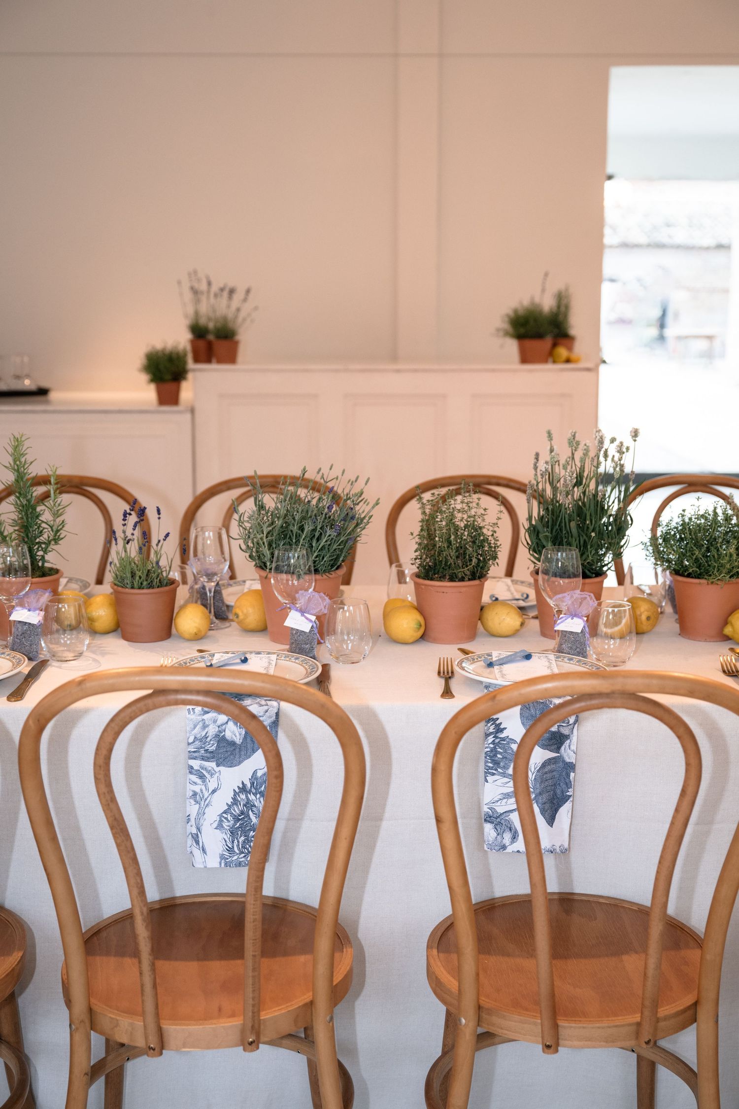 Elegant table setting with wooden chairs and potted herbs as centerpieces for a rustic wedding reception.