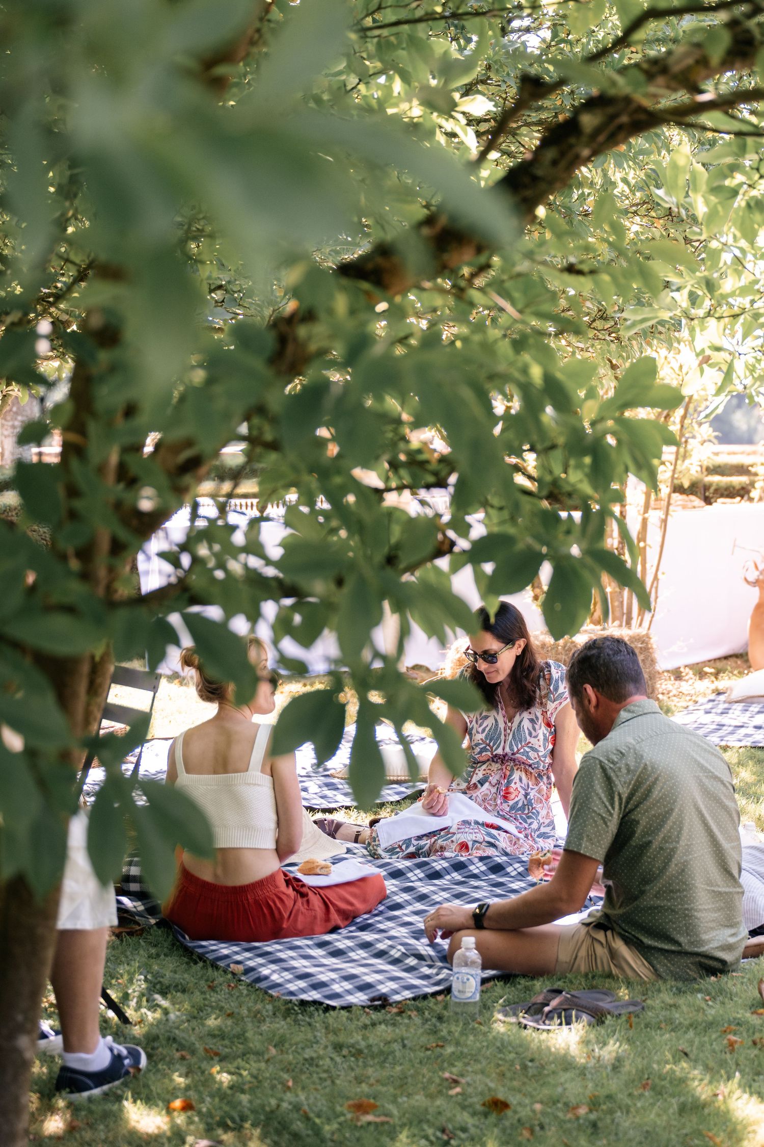 Group of friends enjoying a picnic on a checkered blanket under a leafy tree.