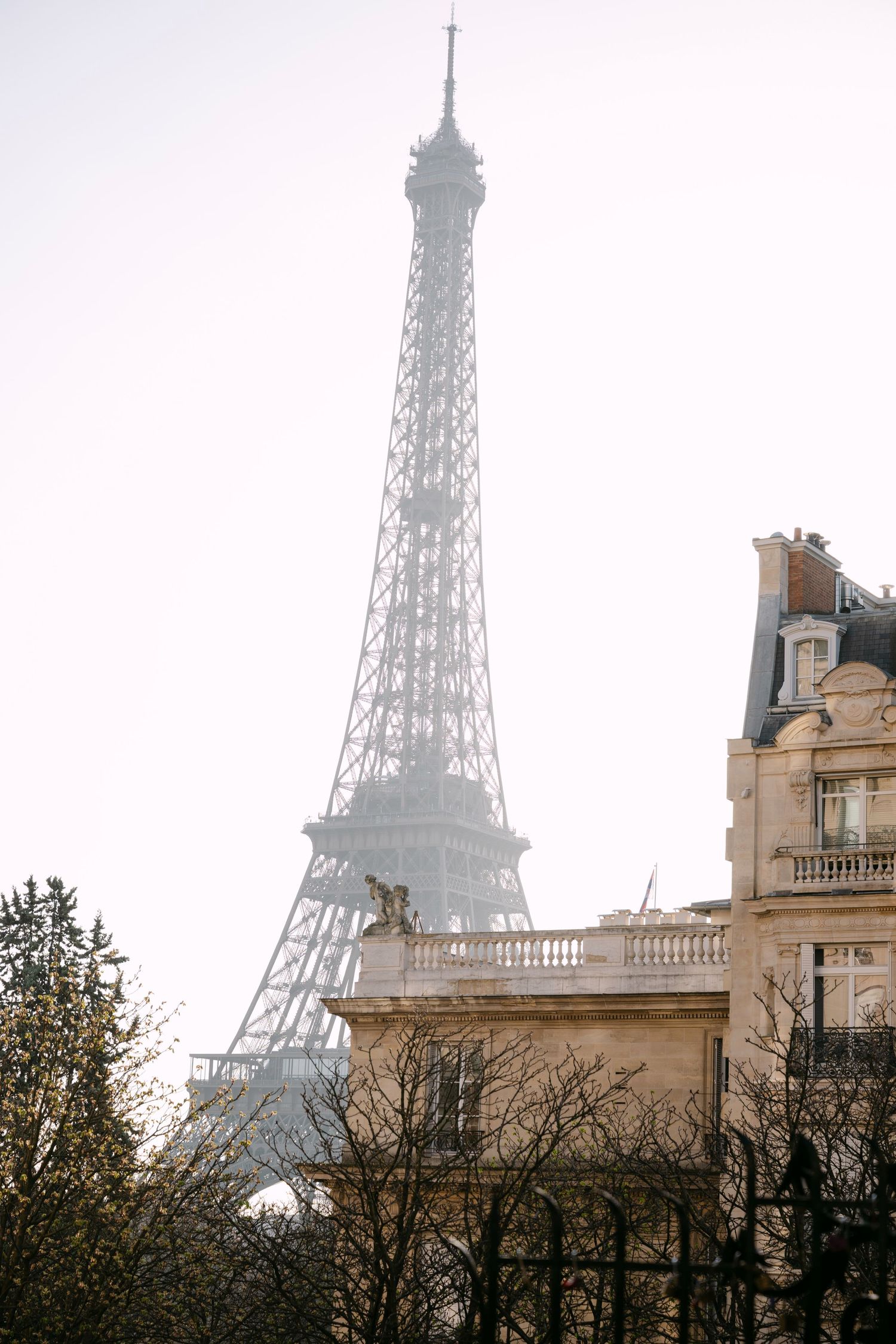 Eiffel Tower rising above classic Parisian buildings and bare trees in soft morning mist.