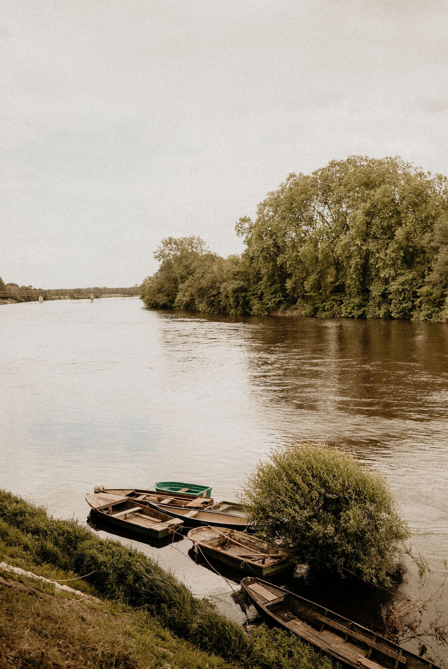 Two wooden boats moored along riverbank with lush trees in sepia tones.
